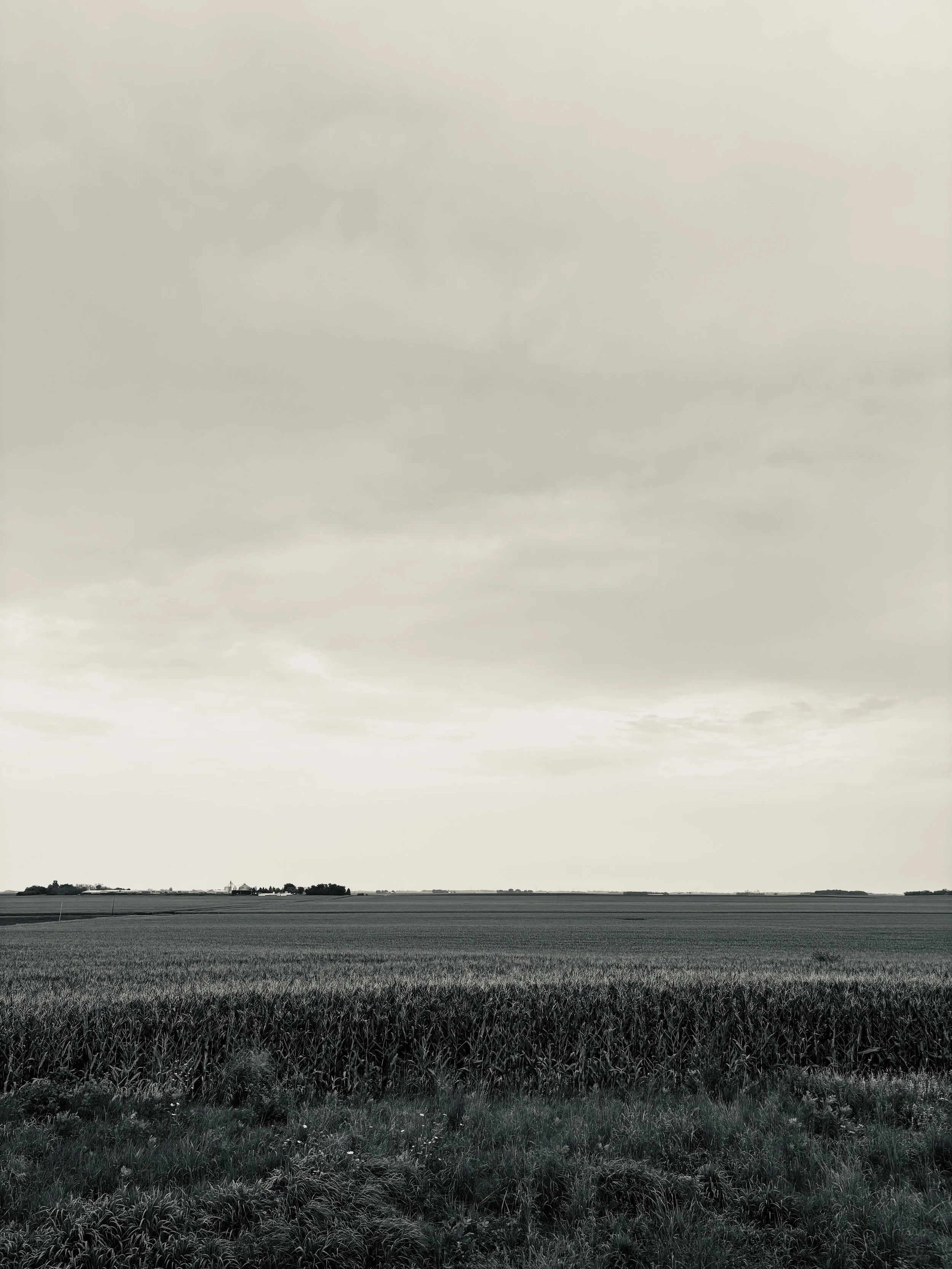 IMG_2896.jpeg