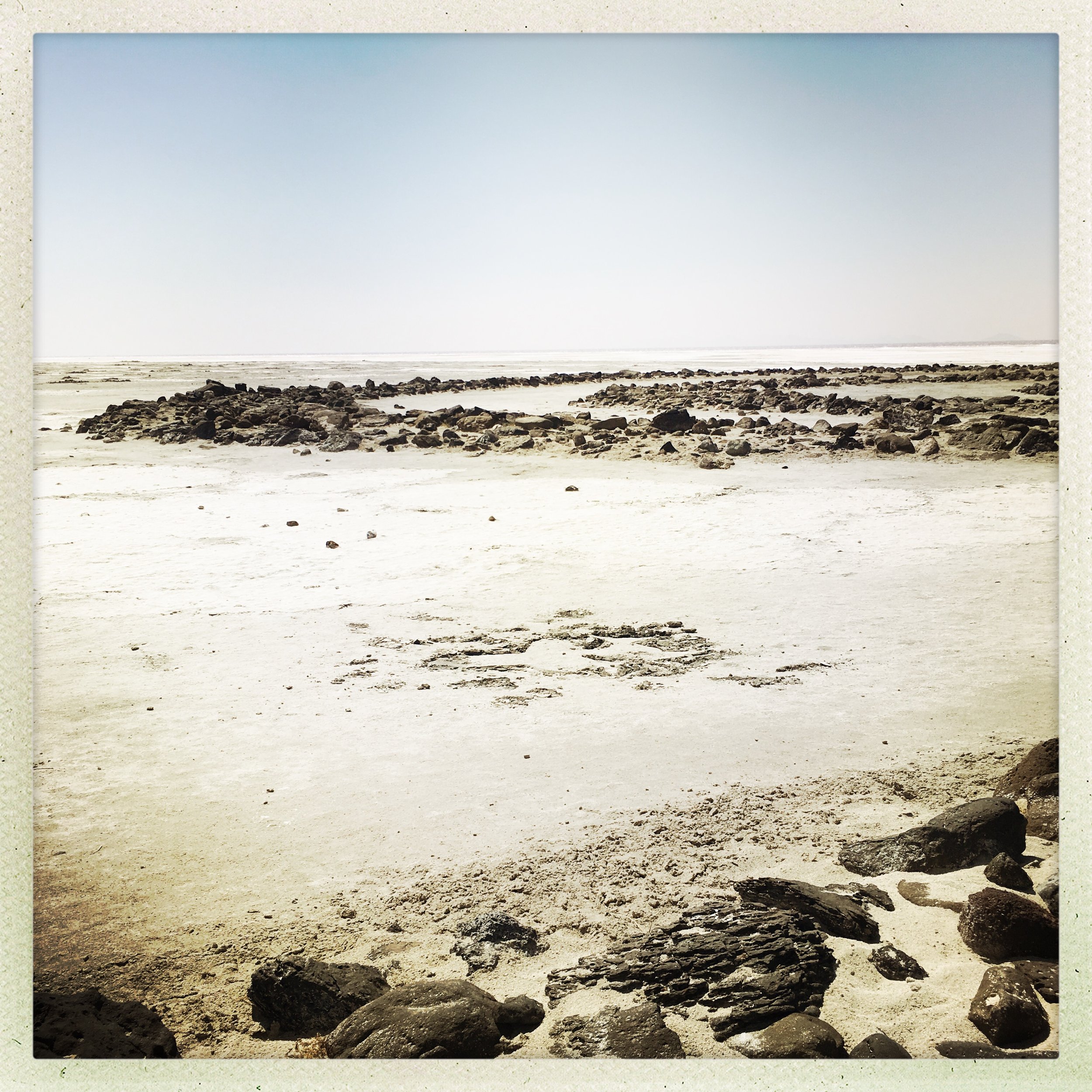 212FA680-6959-454E-8F04-ED2C26AD9831_1_201_a.jpeg