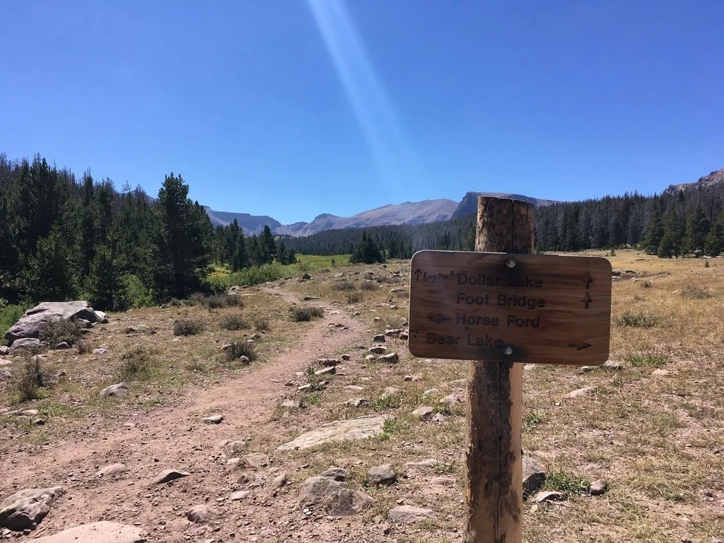1CB87CA7-CA19-425C-8107-EBDB0F7374BB_1_105_c.jpeg