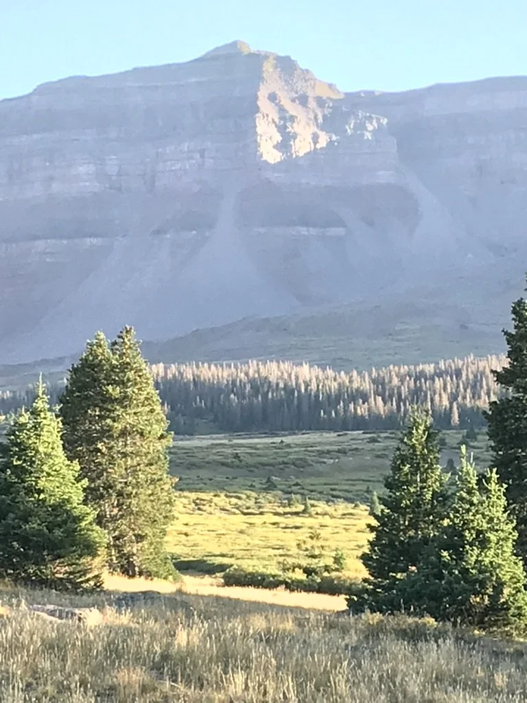 690A5878-4A49-4EDE-802E-F464767179EB_1_105_c.jpeg
