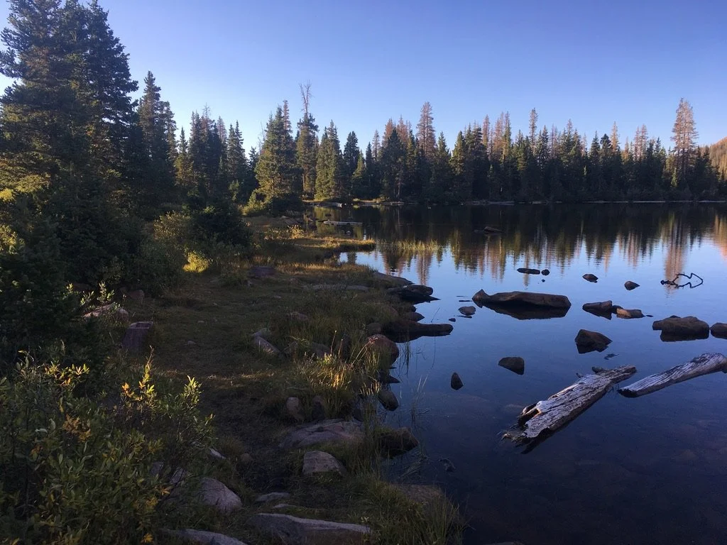 D1A100C2-D5BC-44B9-A418-9AE33415108C_1_105_c.jpeg