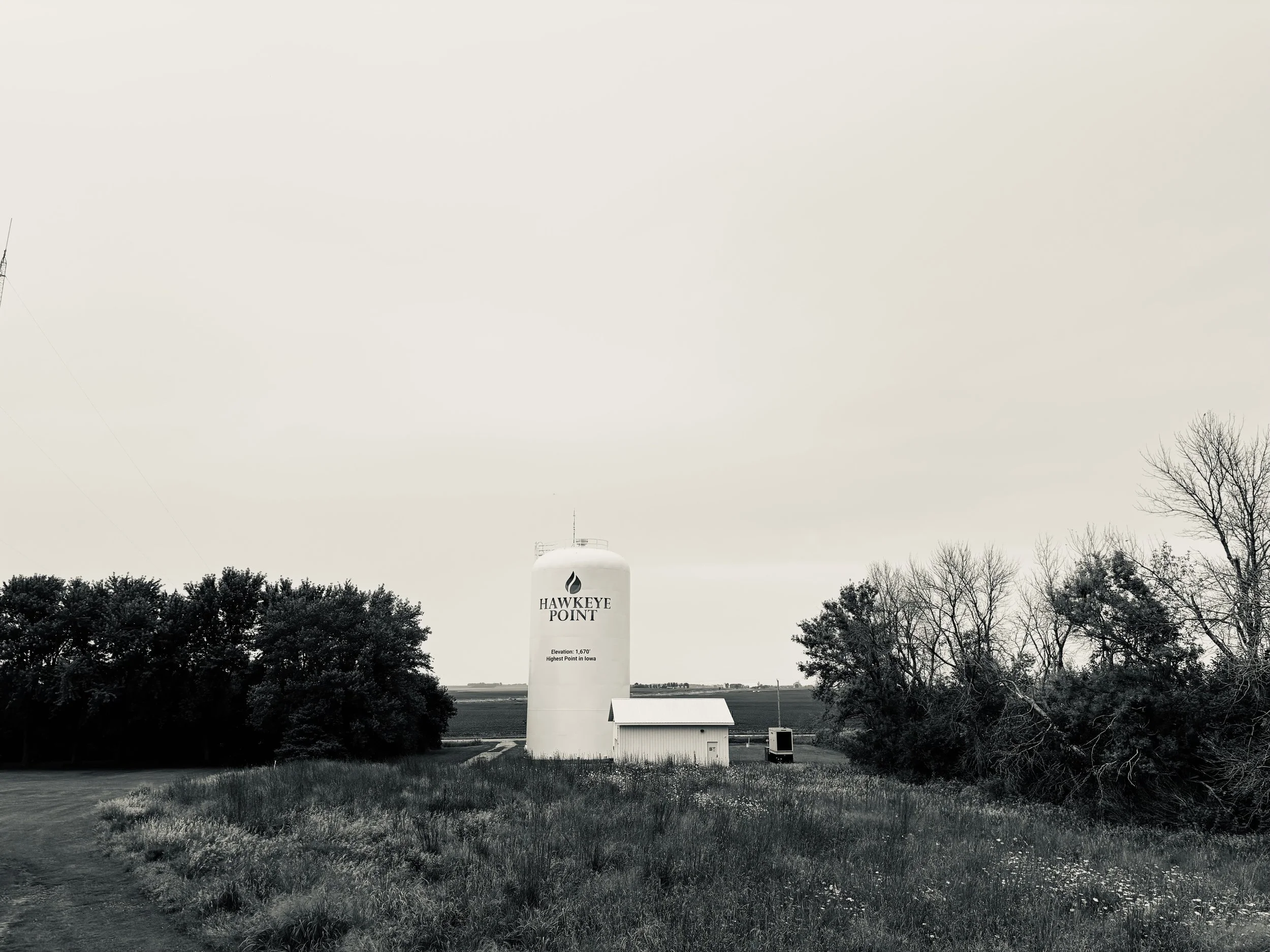 IMG_2901.jpeg