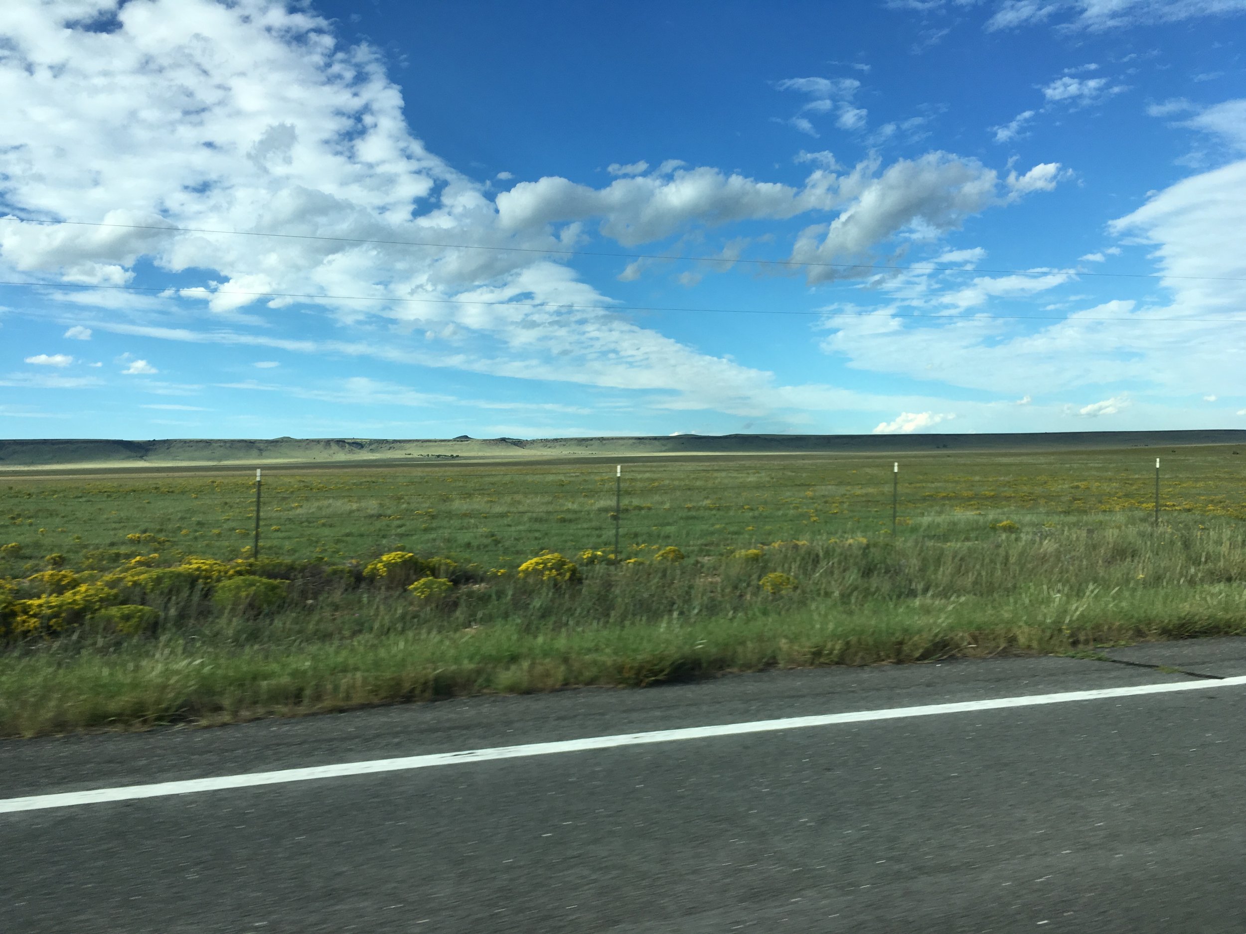 9041467F-7321-462F-A238-7B6D7607630C.jpeg