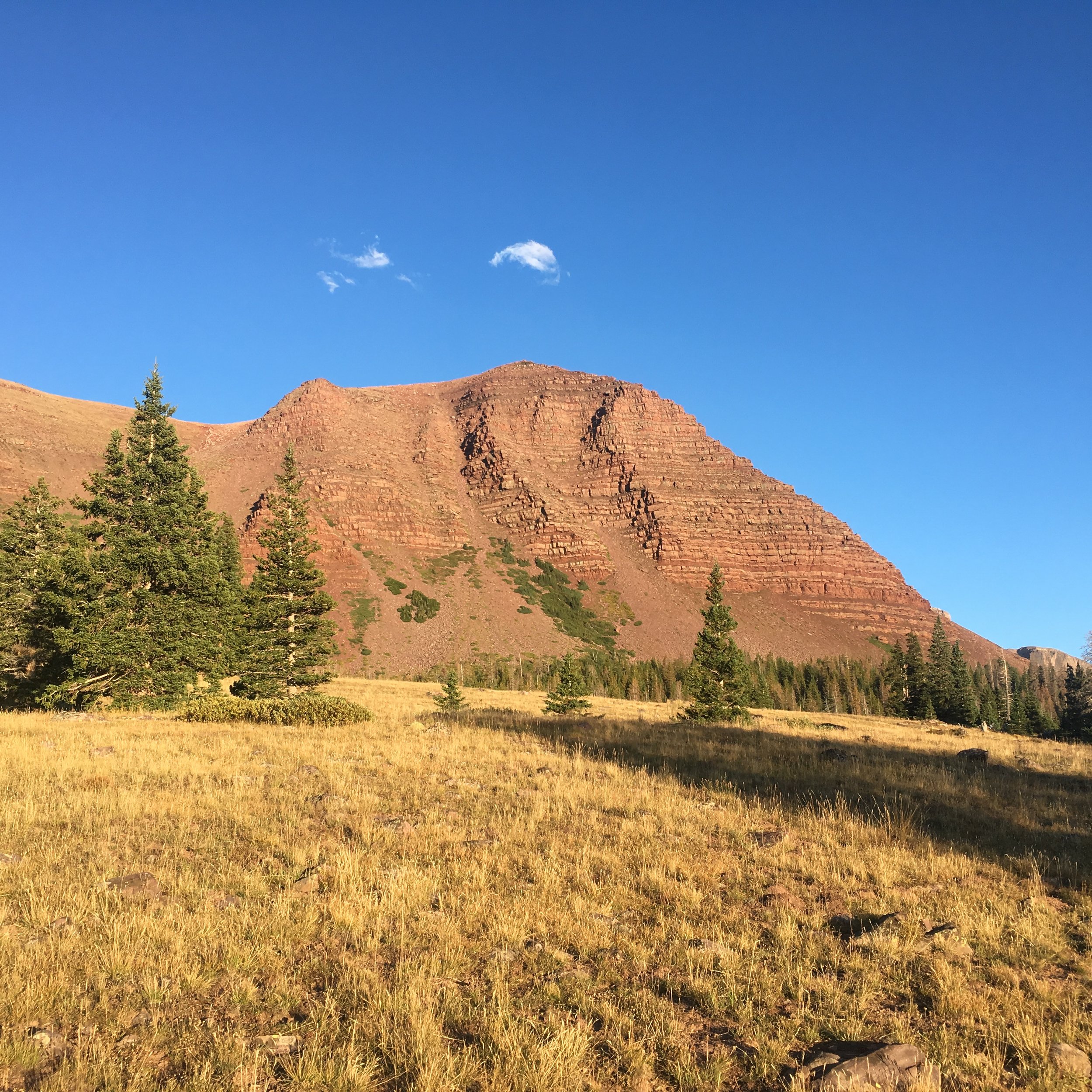 FACC8F04-CE82-447B-80DB-C23672391257.jpeg