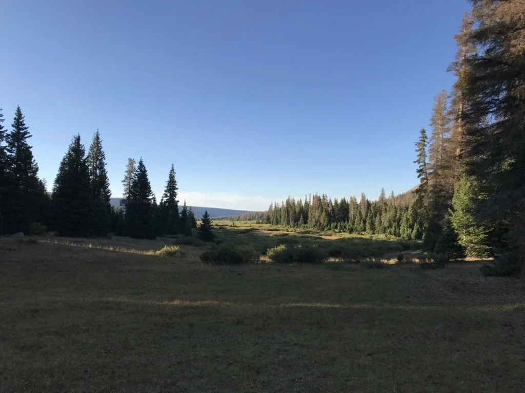 EE95E054-B305-4790-9684-93729923EE47_1_105_c.jpeg