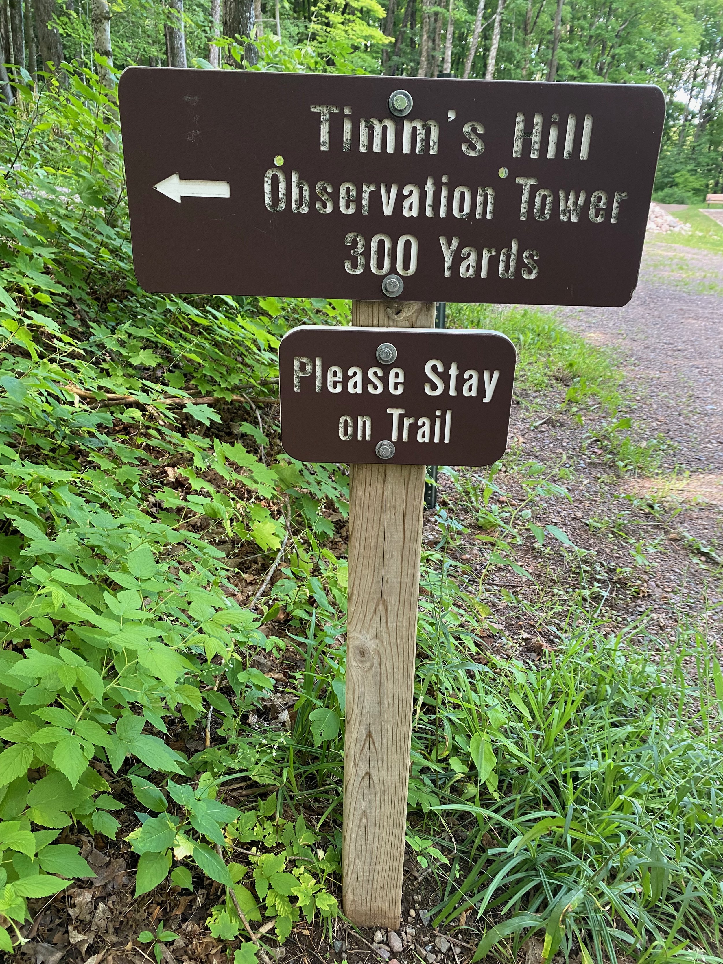 IMG_0475.jpeg