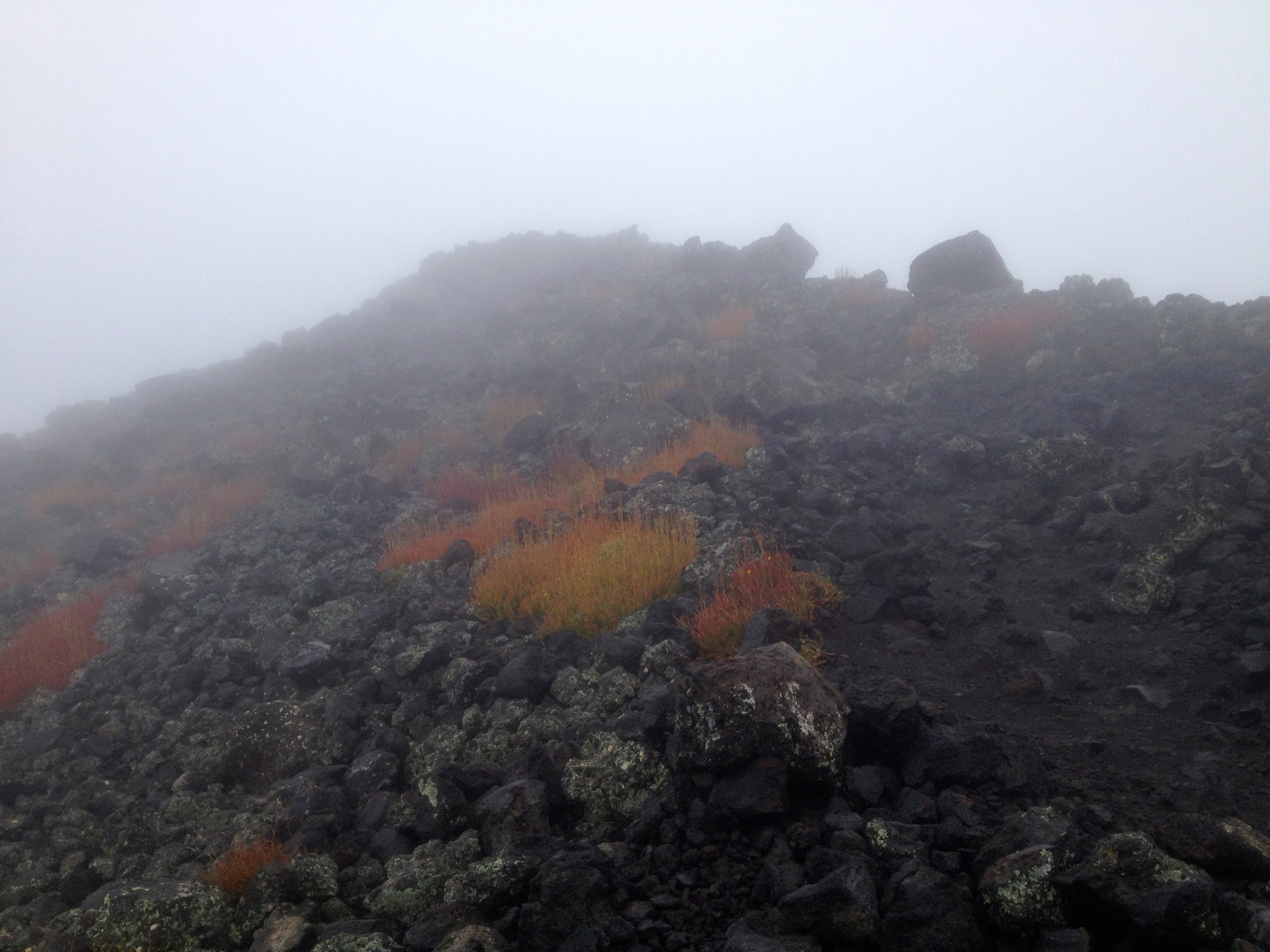 2A861332-D579-4B58-95B7-B2E940981A5D_1_201_a.jpeg