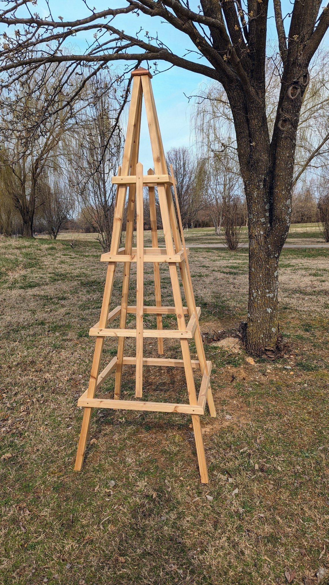 Cedar Obelisk_.jpg