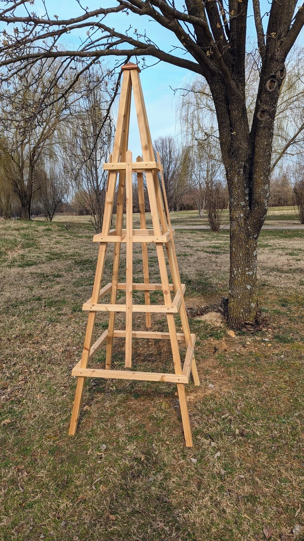 Obelisk Trellis  Wood You Kindly