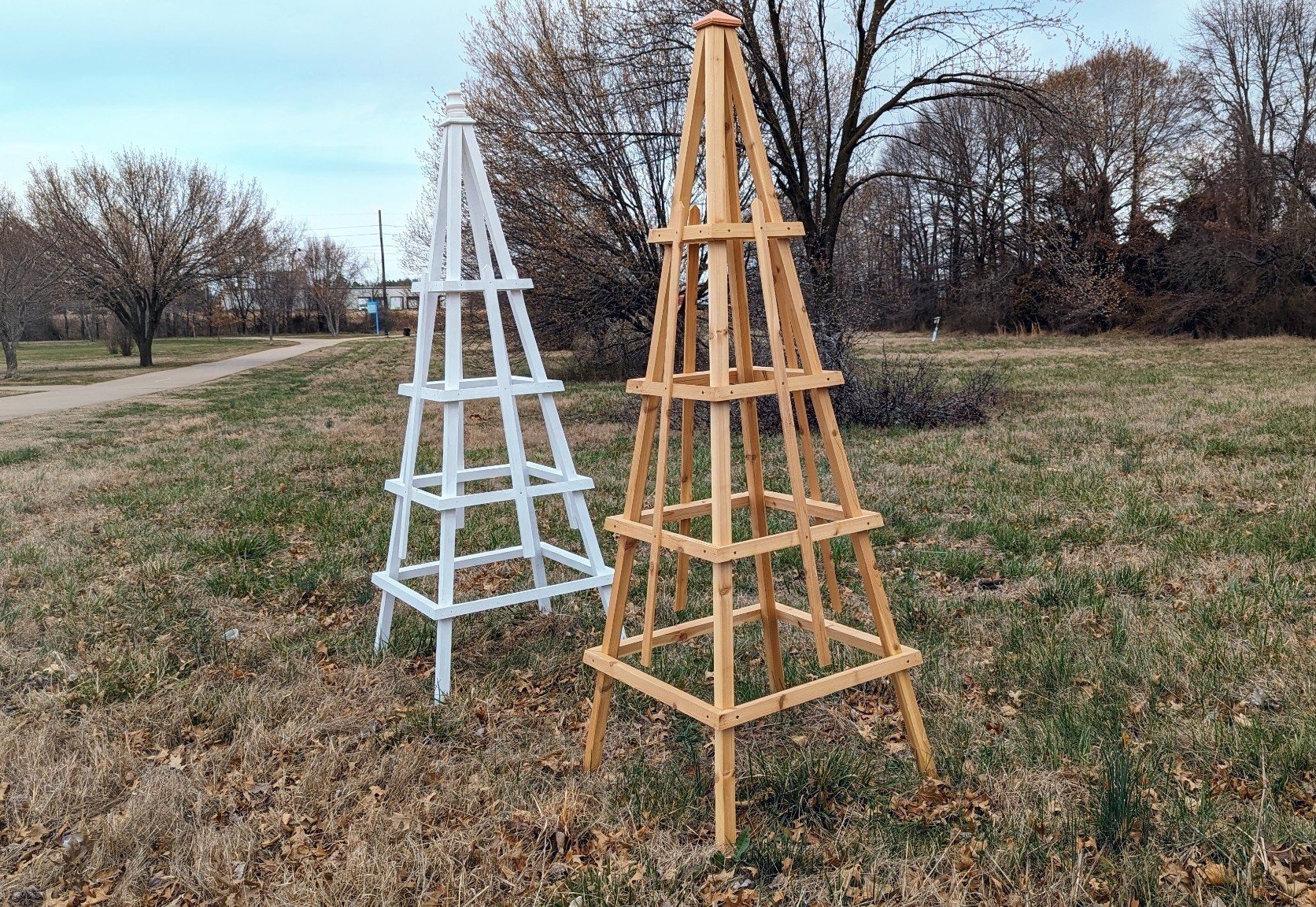 Obelisks - Cedar and Painted Pine.jpg