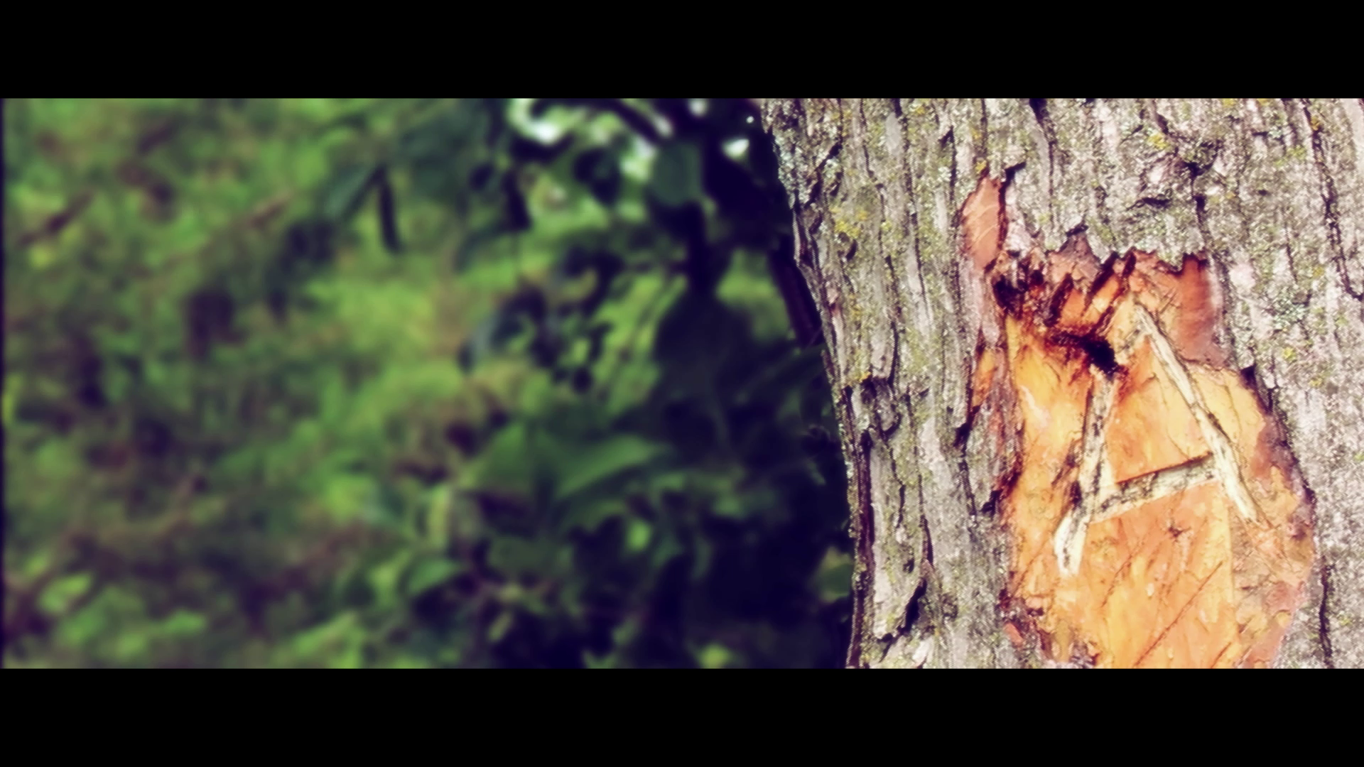 vlcsnap-2025-12-01-11h22m42s070.png