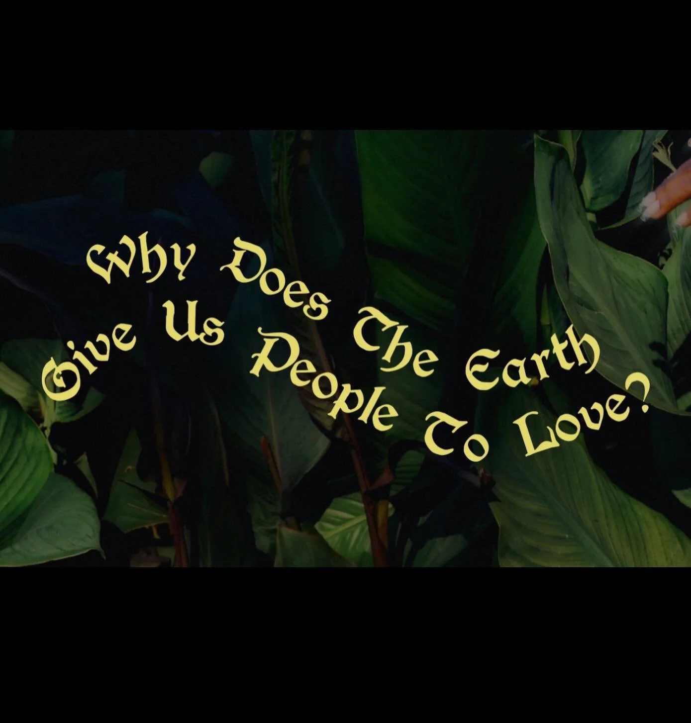 So happy to see @karakara beautiful album going out into the world today! 🌱
Happy to be a part of it on the artwork side 💕
I wanted the album artwork to reflect the album and be lush, warm, bold, yet still have an air of tenderness.
References were