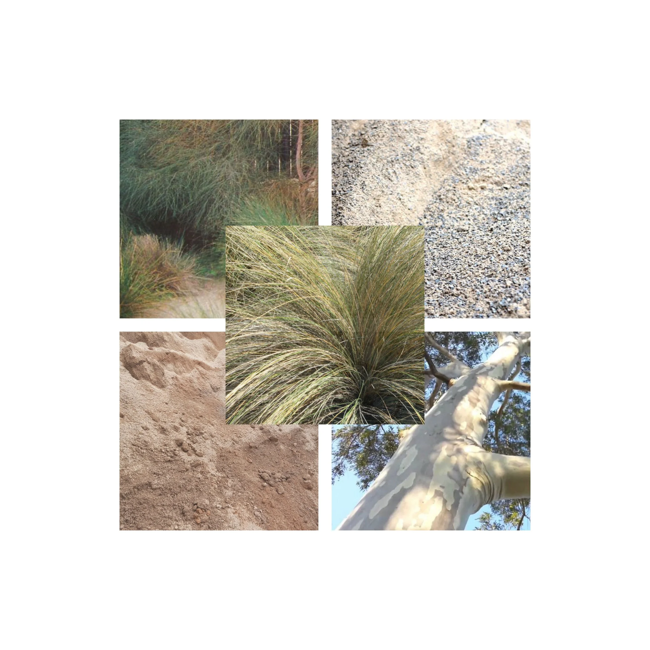 blayney palette_IG2.jpeg