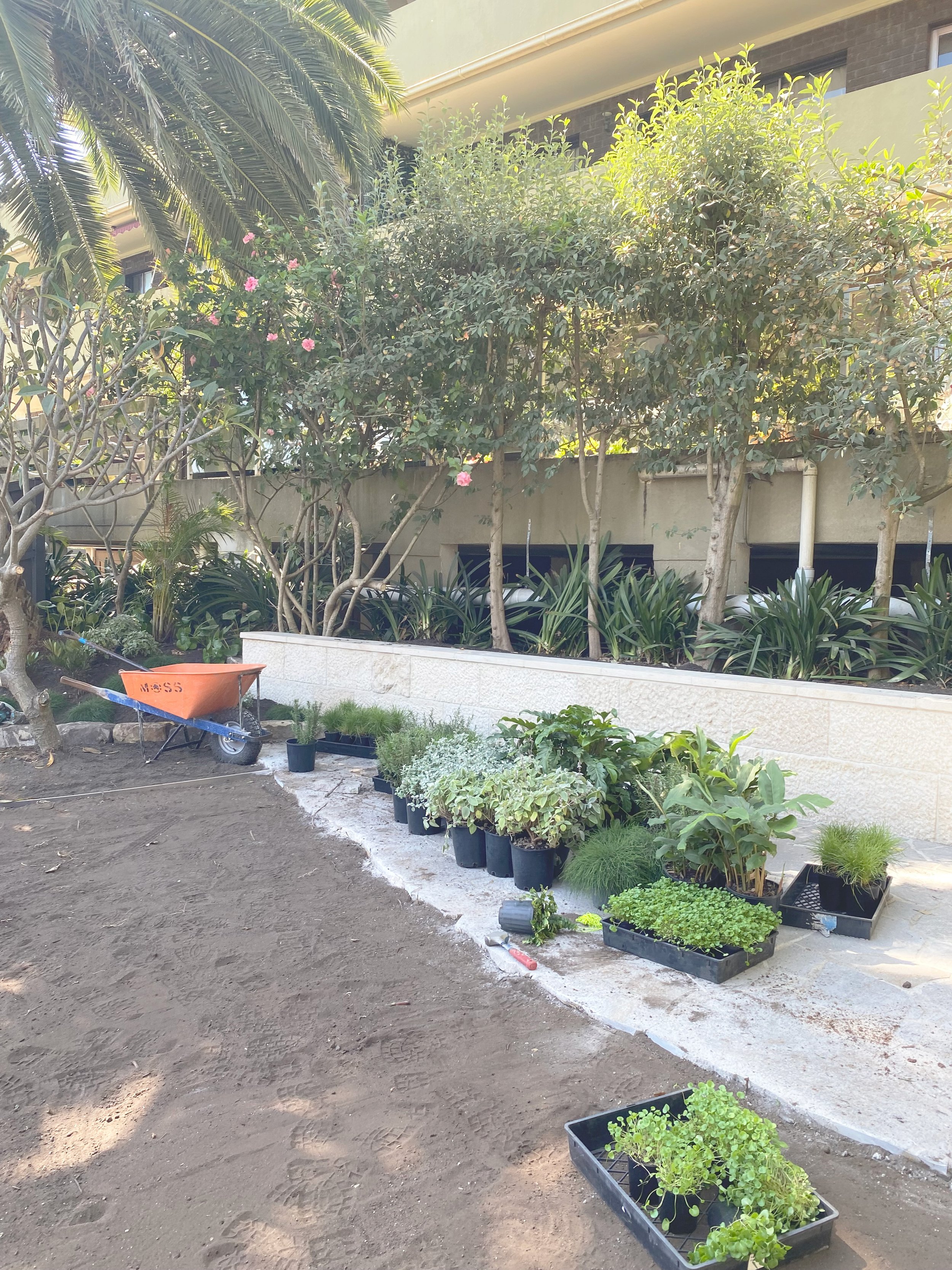 Manly 2024

In collaboration with MacCulloch Landscapes