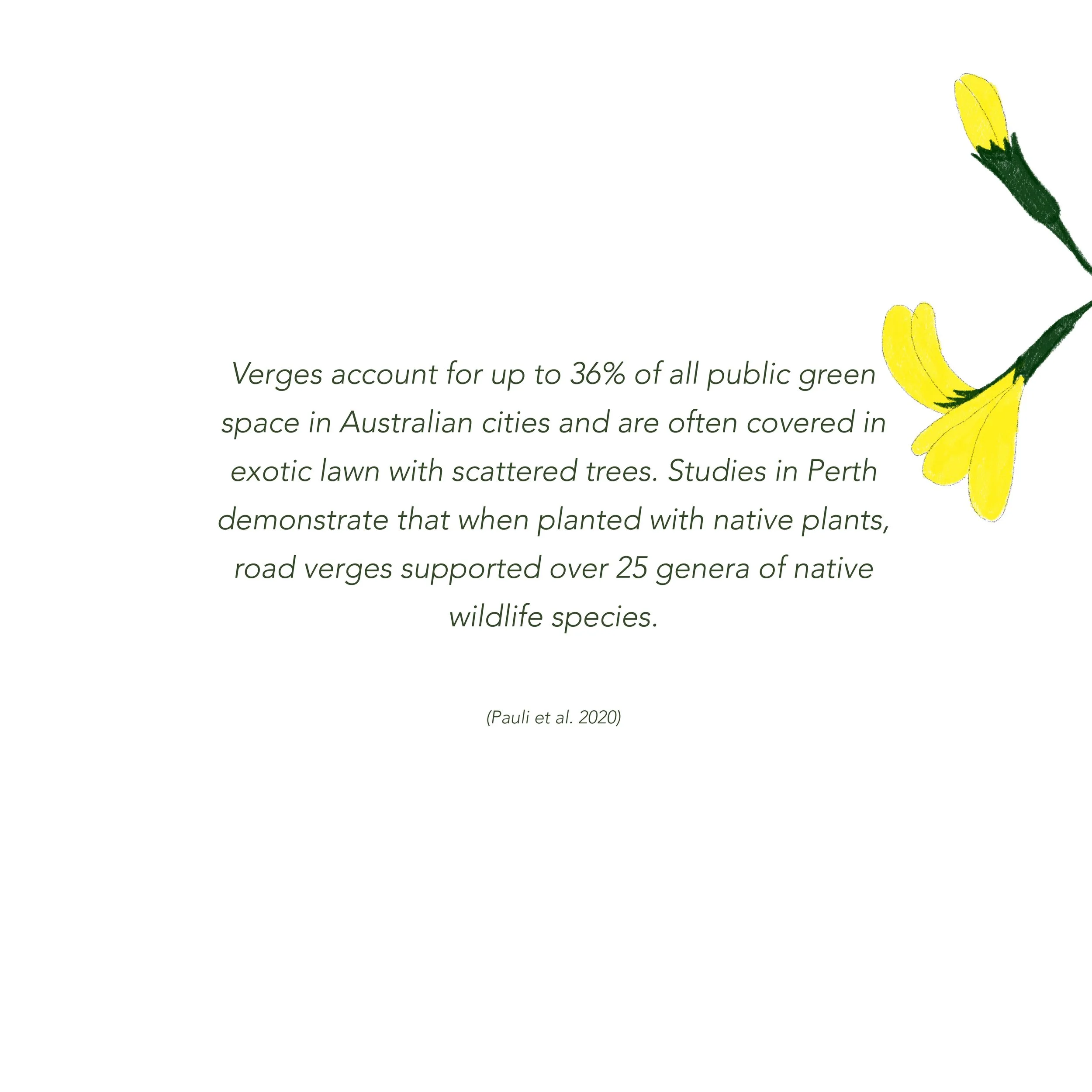 text_IG - verges.jpg