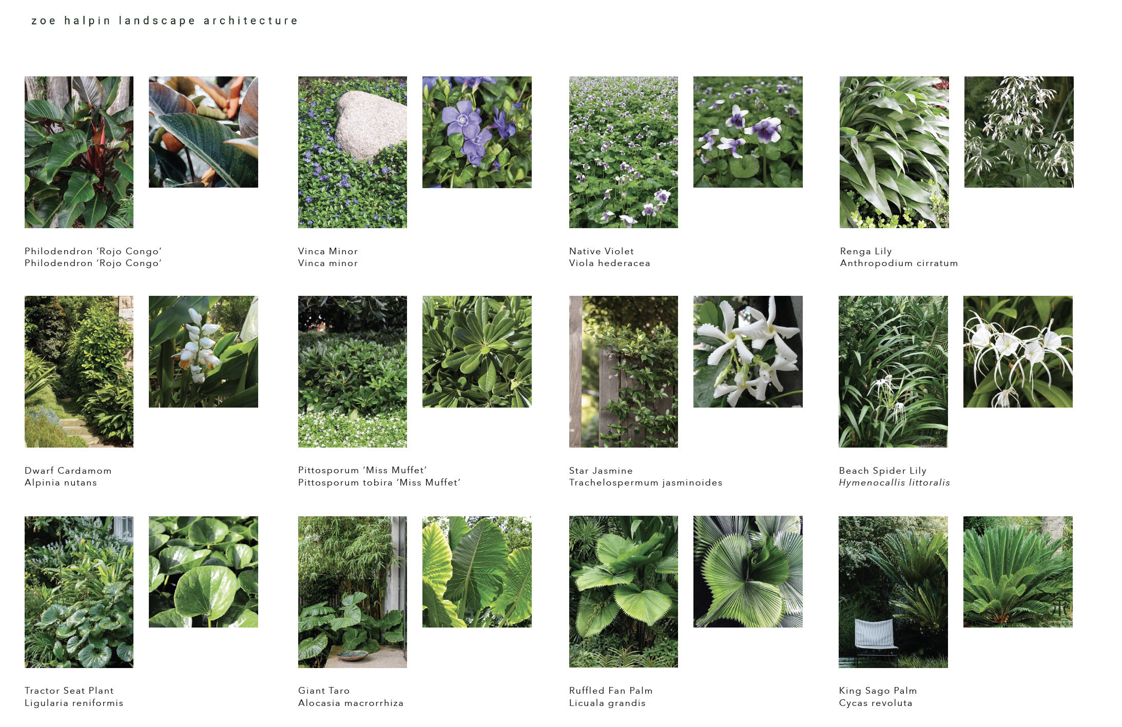 Screenshot 2026-01-28 at 2.36.06 pm.png