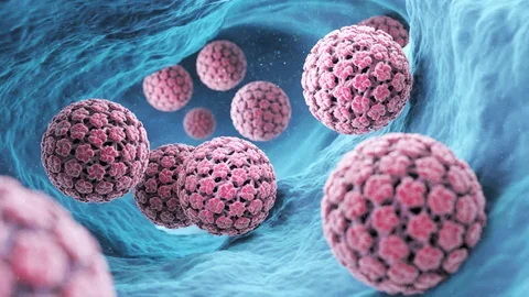 El Virus del Papiloma Humano (VPH)