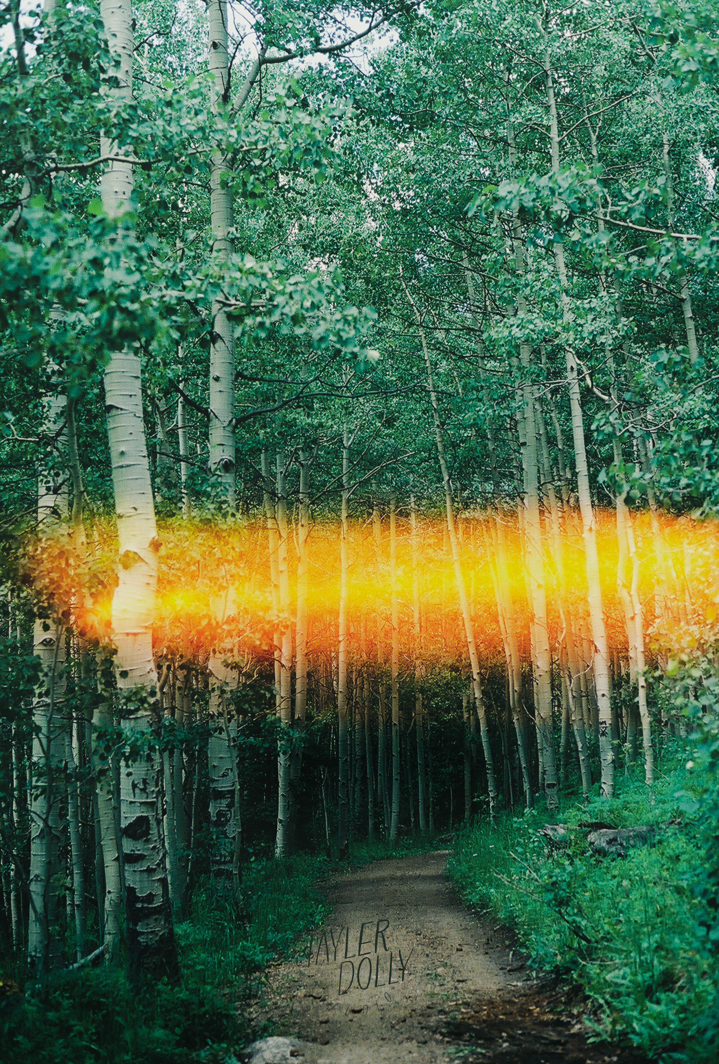 nature's gateway WM.jpg