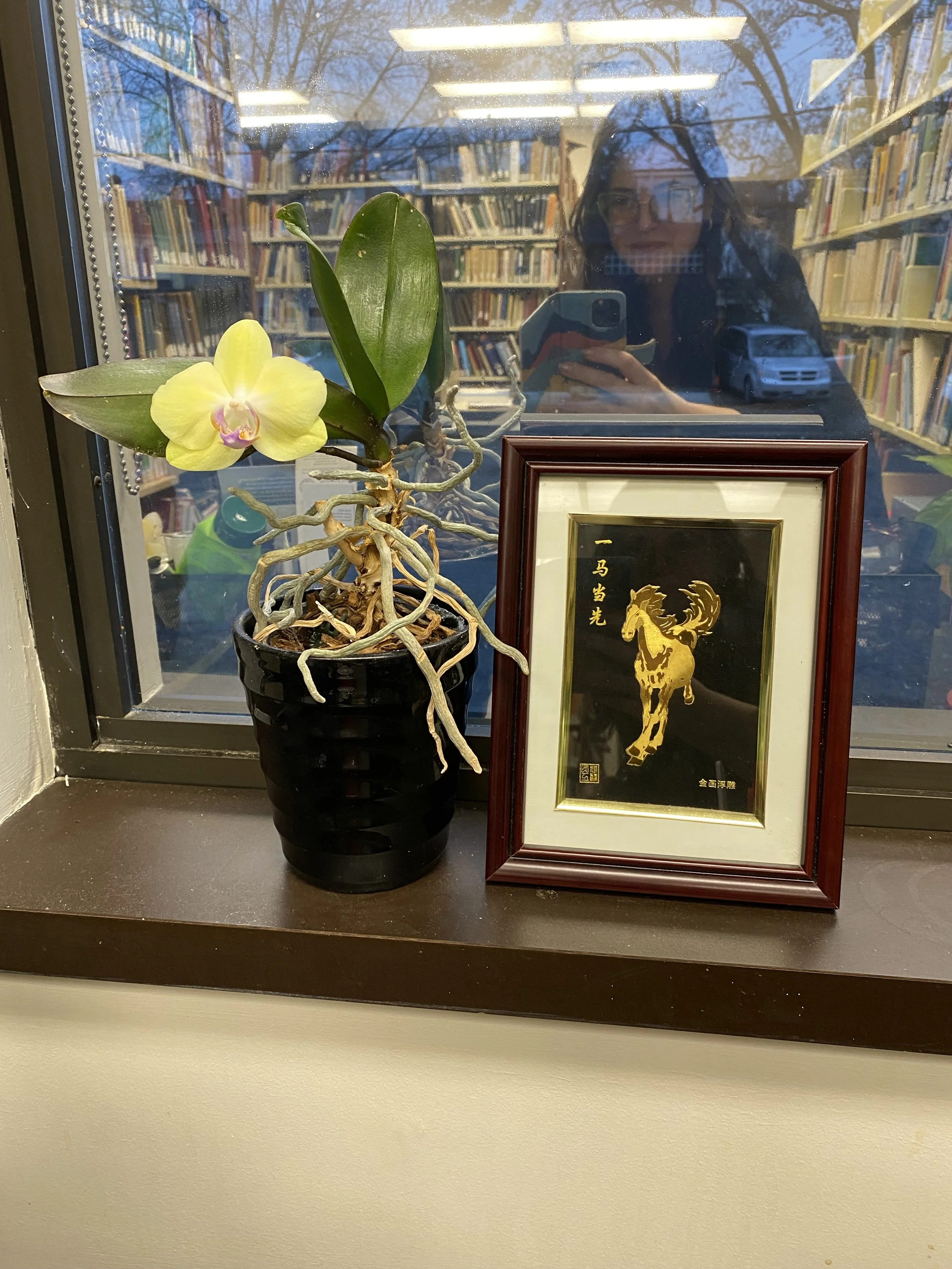 A picture of a gilded horse given as a gift to the SVI Library in 2026.