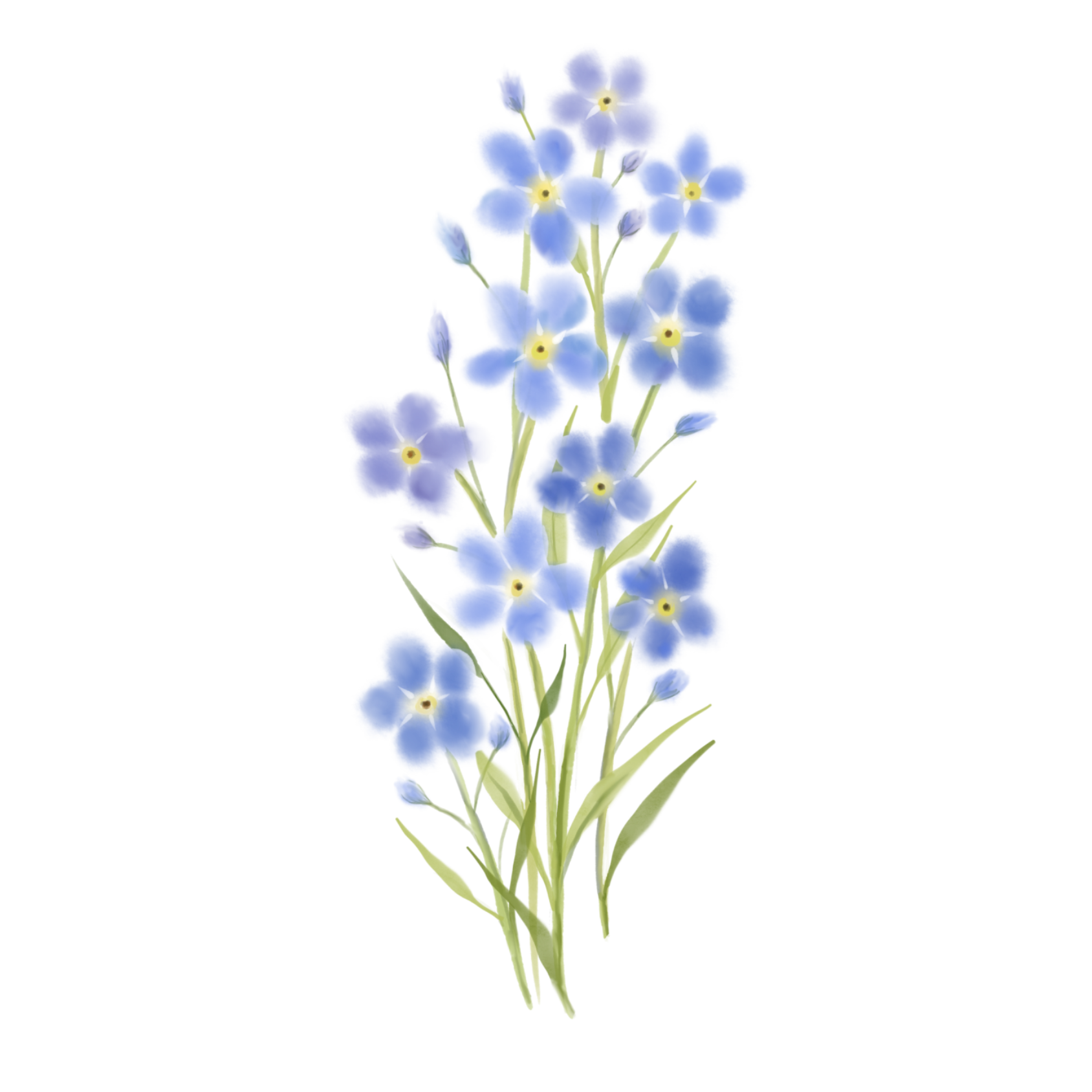 forget-me-not-bouquet-everblossom-Art.png