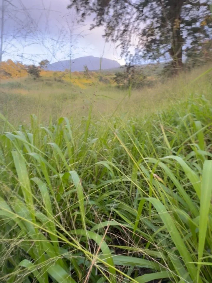 GRAND ADVENTURE PLAN:
Run from sea level to the summit of Haleakalā 🌋 
Early wake up. Dialed logistics. Stash bike by a farm stand. Hitch from the summit. Ride back to the car.

What could possibly go wrong? 😌🌋 I had it handled. Warm layers. Water
