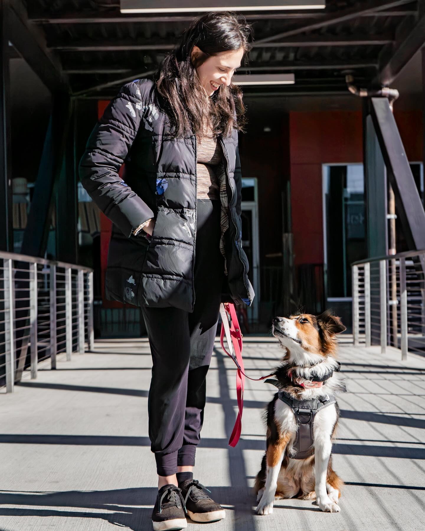 &ldquo;Dog training is a never-ending process of evolving&rdquo;
-Ivan Balabanov
You may have heard in our classes that training never stops, when your dog is 3 months, 4 years or 9 years old you can always teach your dog something new!