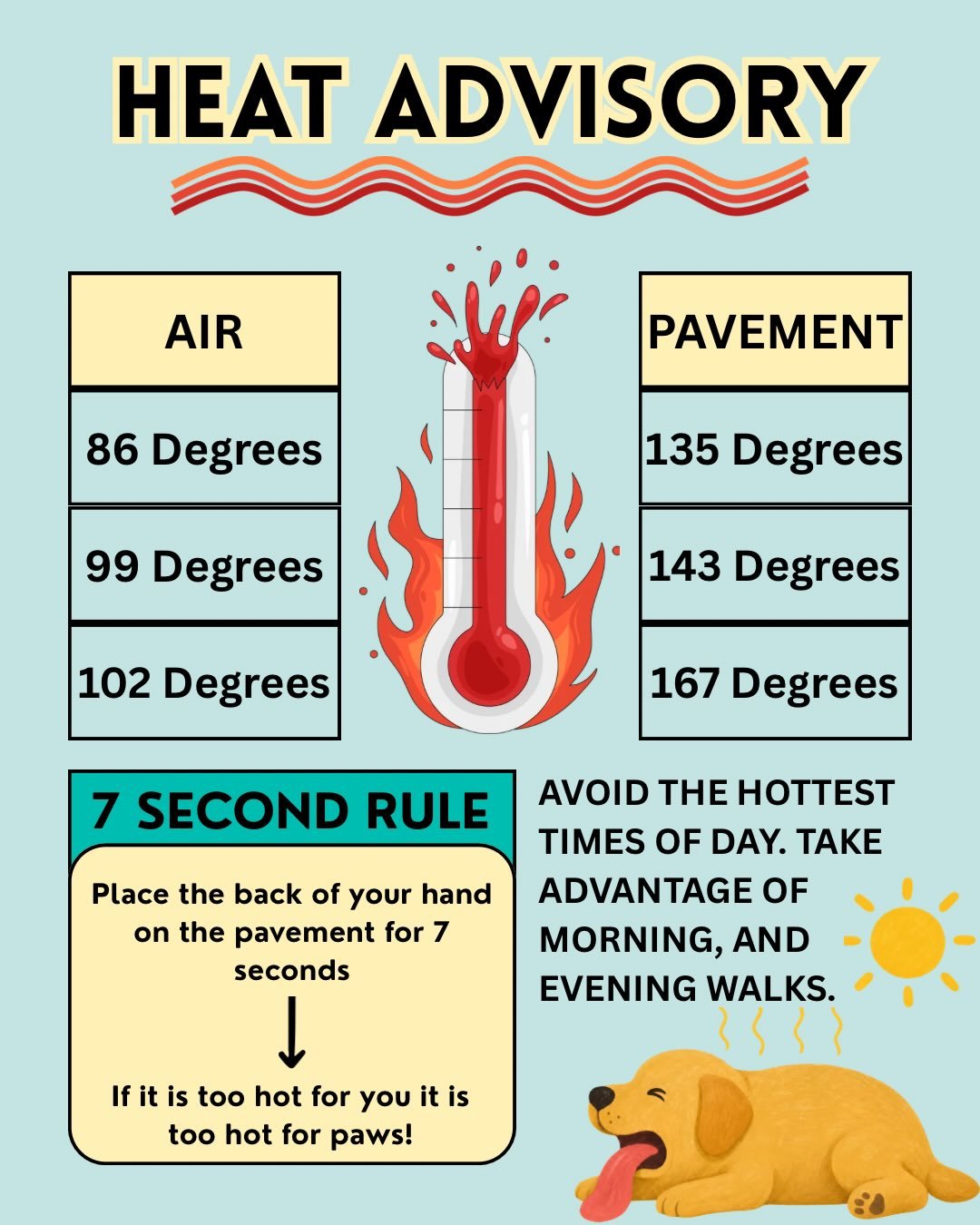 It&rsquo;s that time of year again, here are tips more like rules you should follow for your dog and other animals in this heat!
.
#heatadvisory #nycheatwave #dogtips #statenisland #nyc