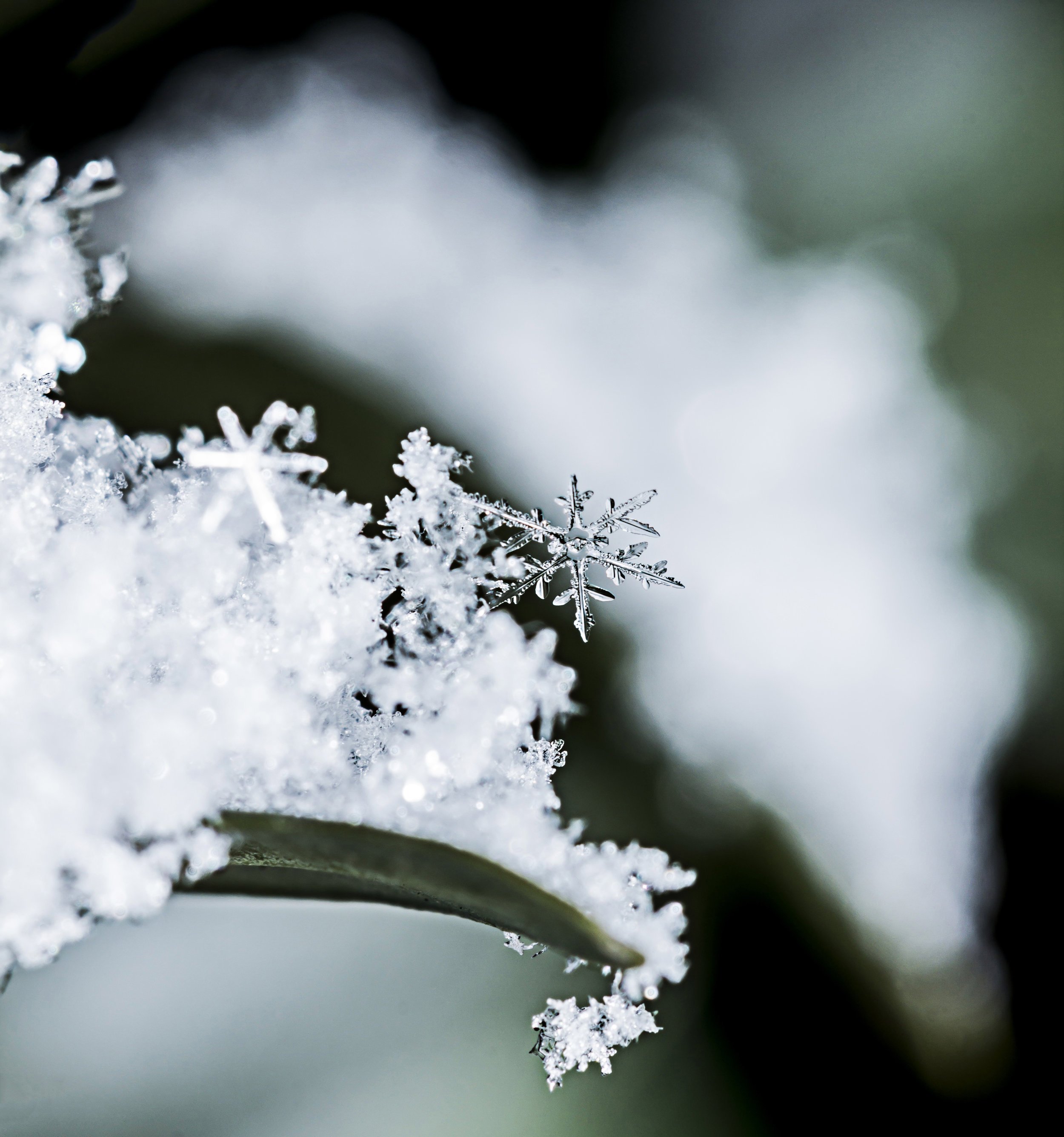 The chemical art behind snowflakes