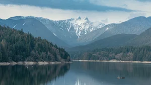 Metatribe® Headquarters photo 7