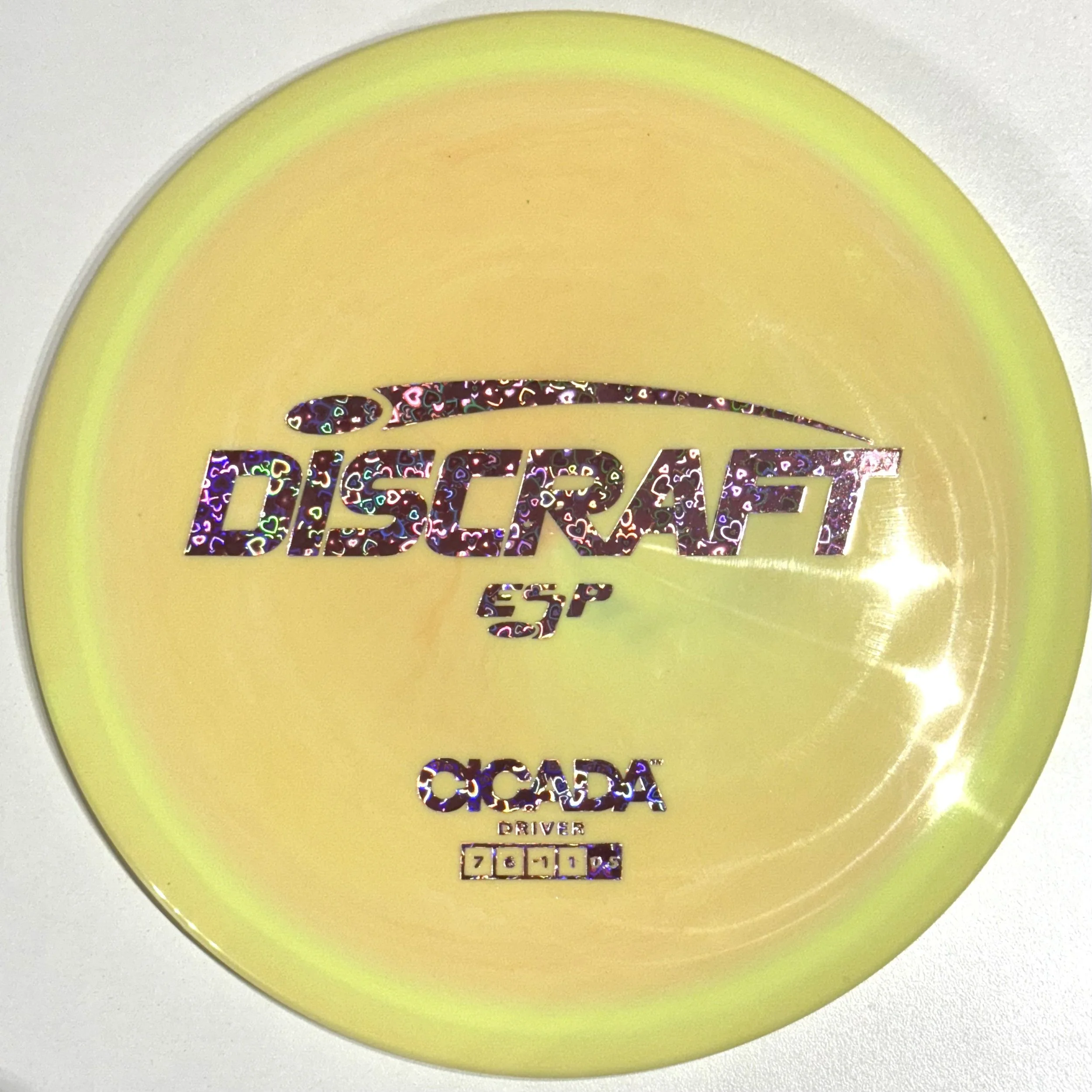 CICADA - ESP