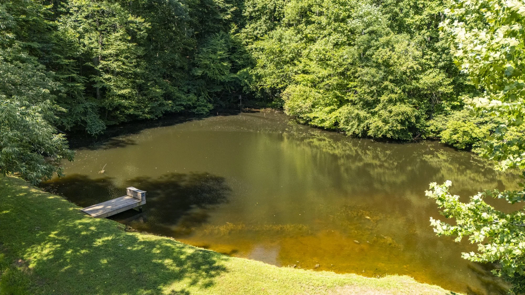 20240626-DJI_20240626114629_0190_D.jpg