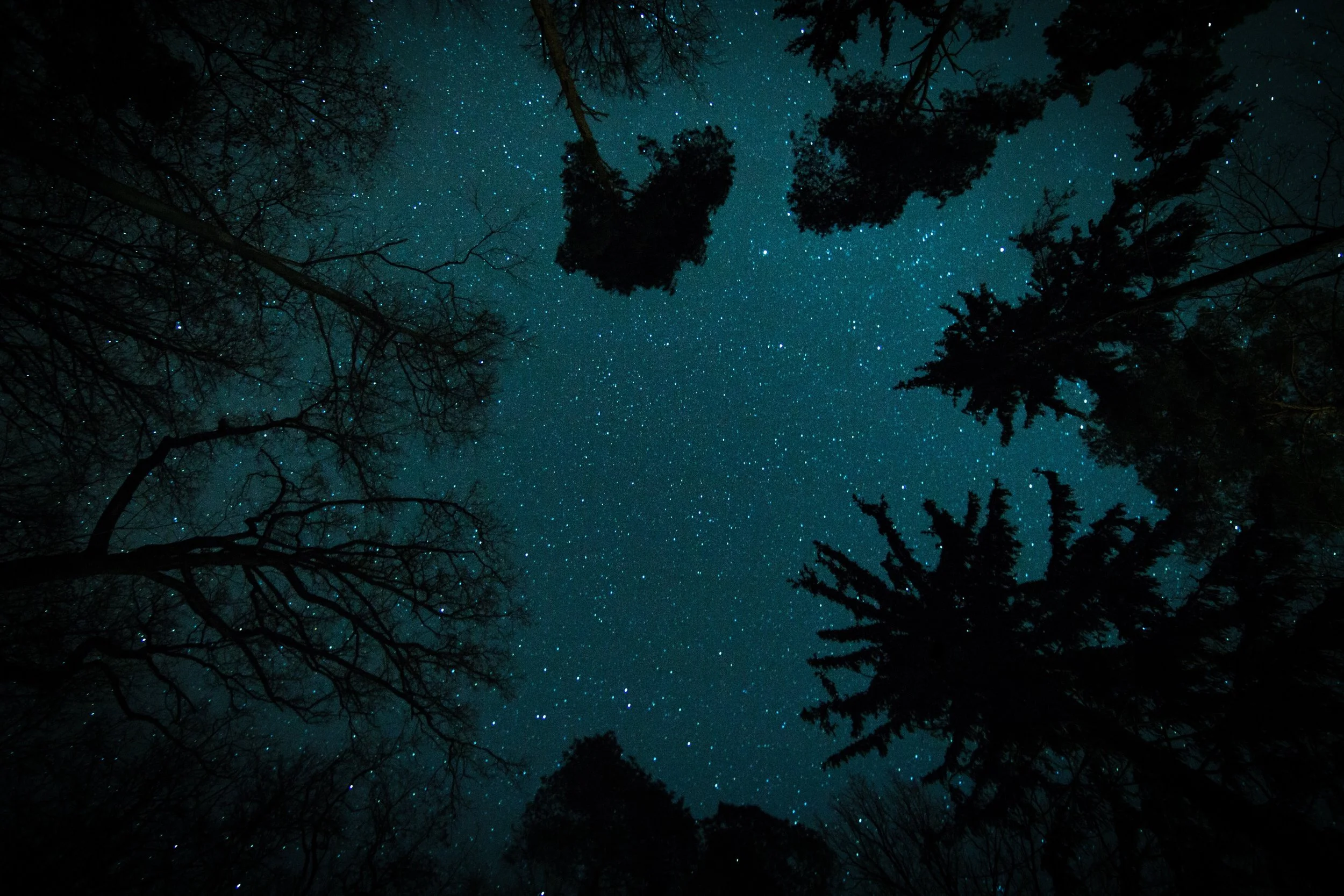 Yoga Nidra Teacher Training