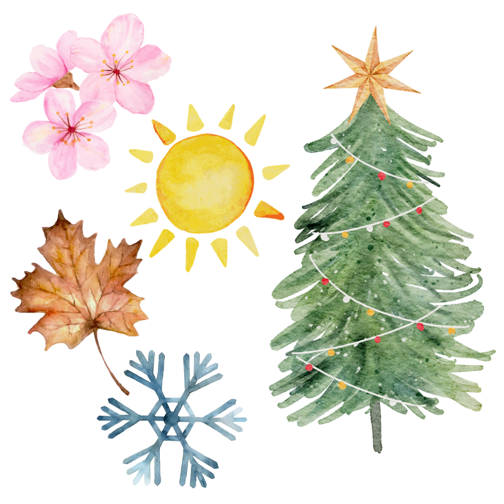 Buying: all seasons + Christmas