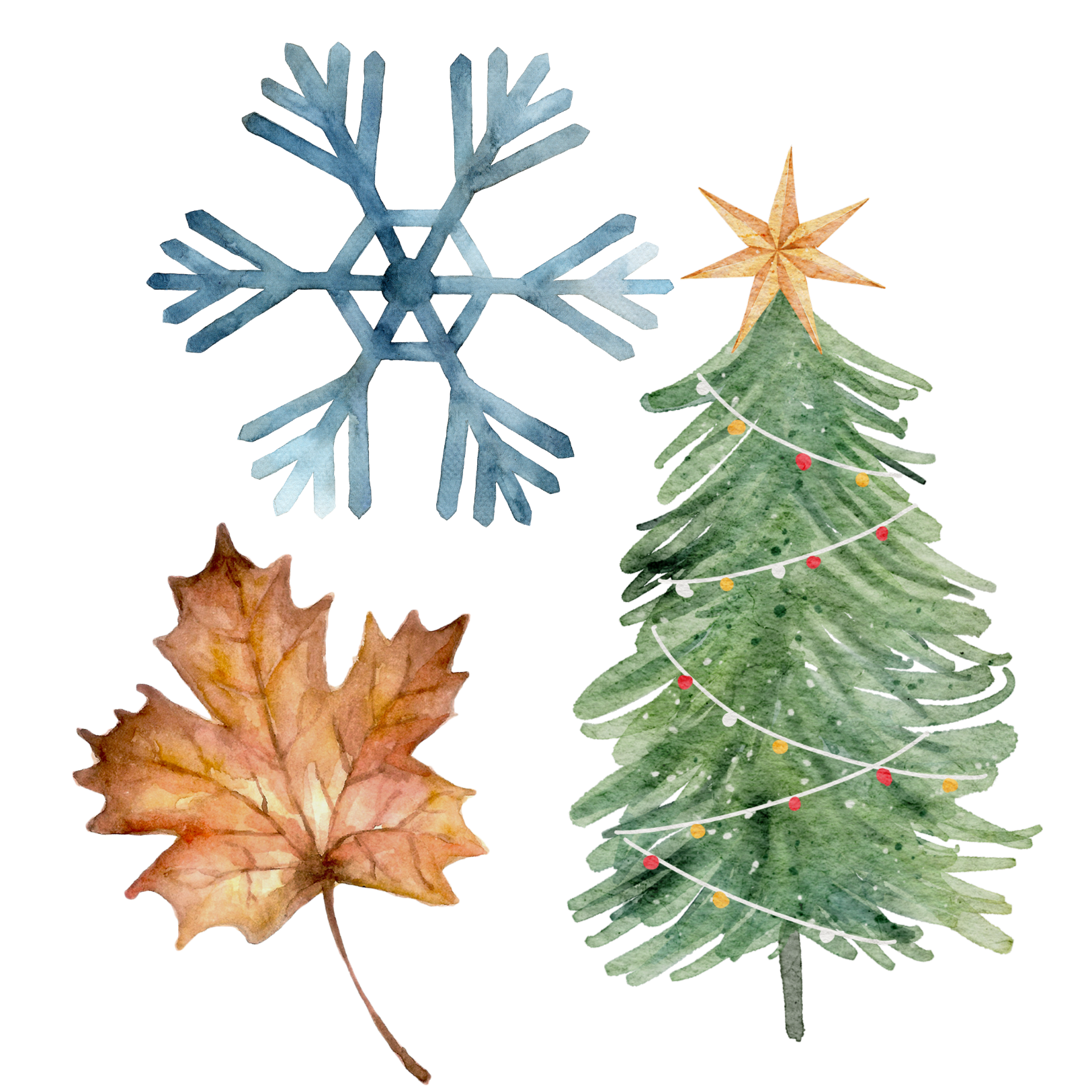 Buying: fall/winter &amp; christmas