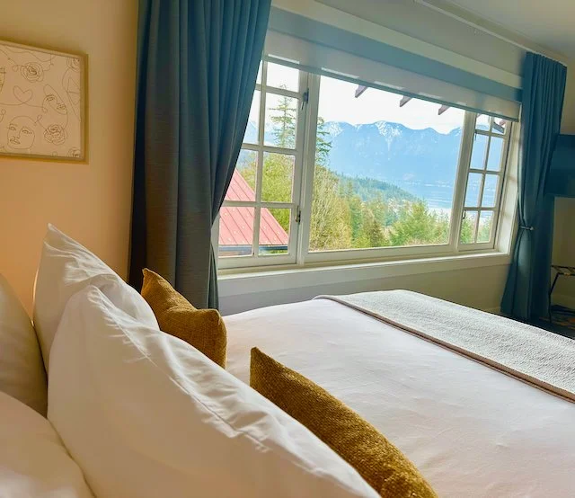 cape view from bed w gold pillows 25.jpeg