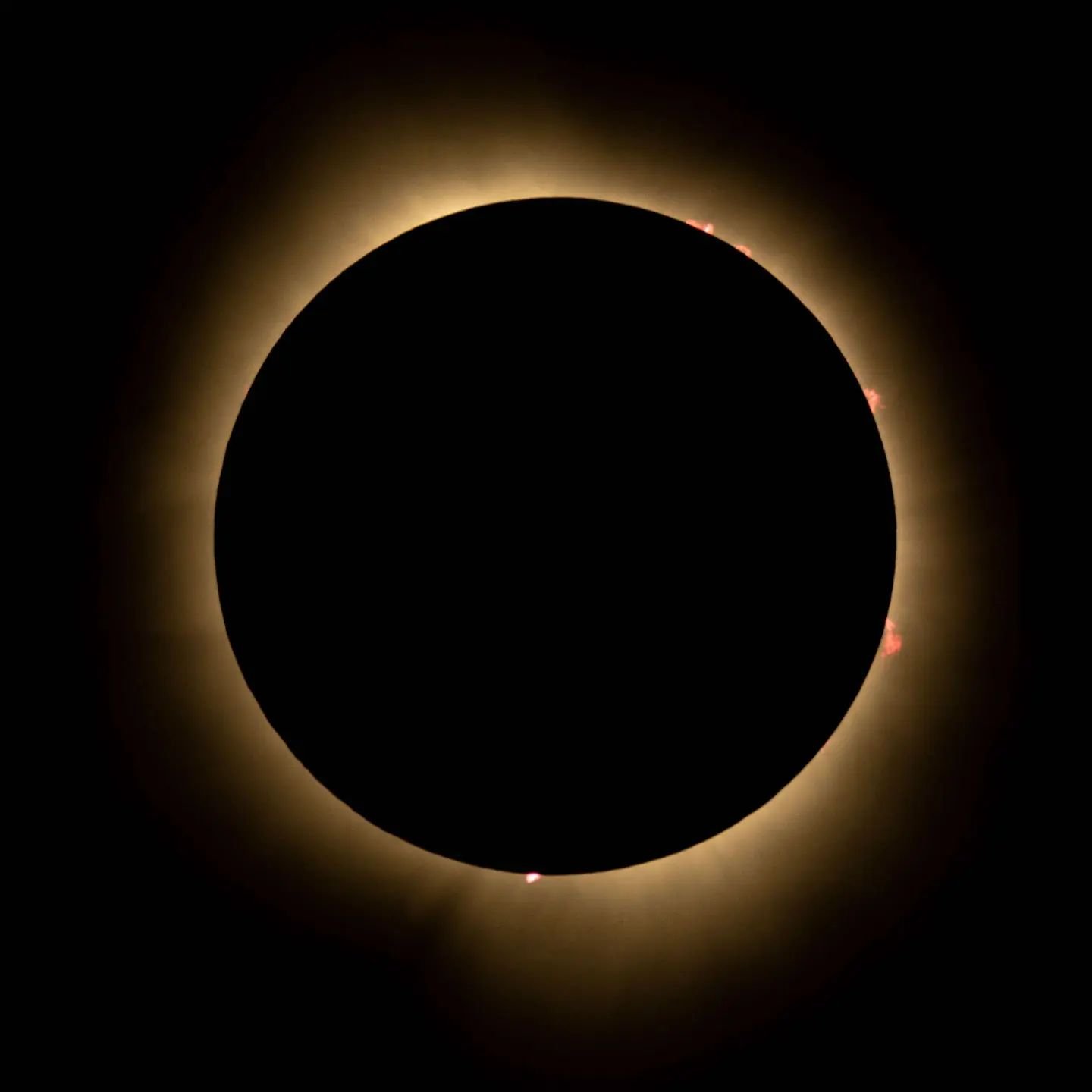 Total Solar Eclipse | April 8, 2024 

On Monday, I got to witness my second total solar eclipse. We flew back to the Midwest and drove down from Iowa to Steeleville, IL and were able to experience totality for 3 minutes and 25 seconds. When I went to