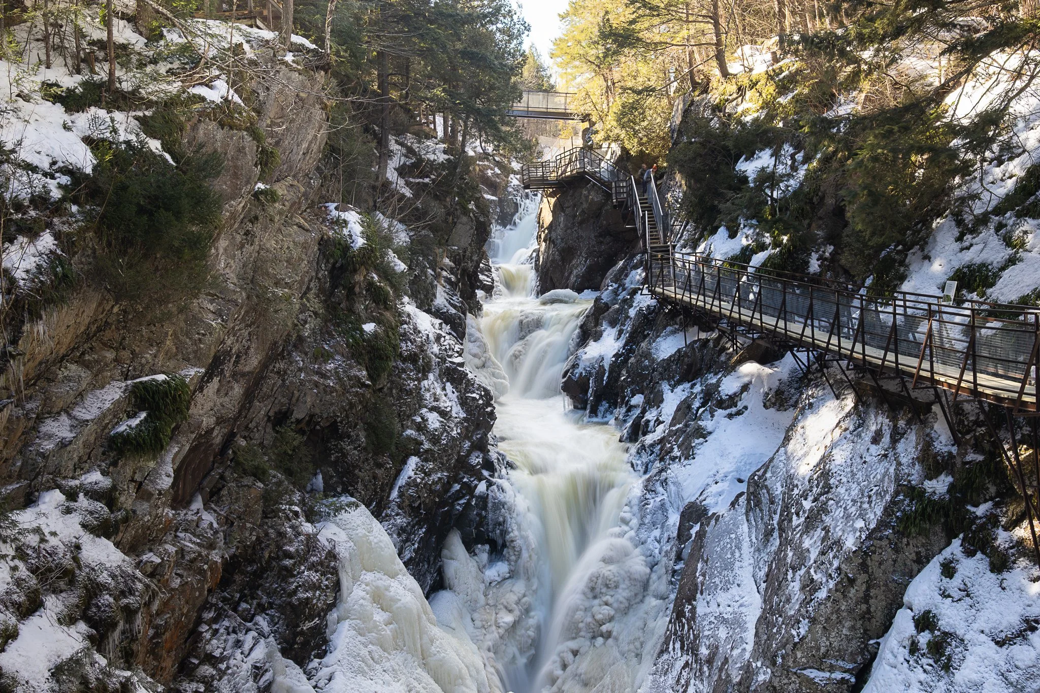 147A8513-Enhanced-NR.jpg