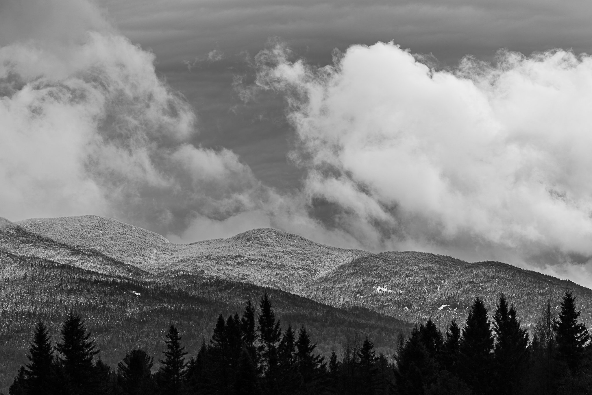 147A0033-Enhanced-NR.jpg