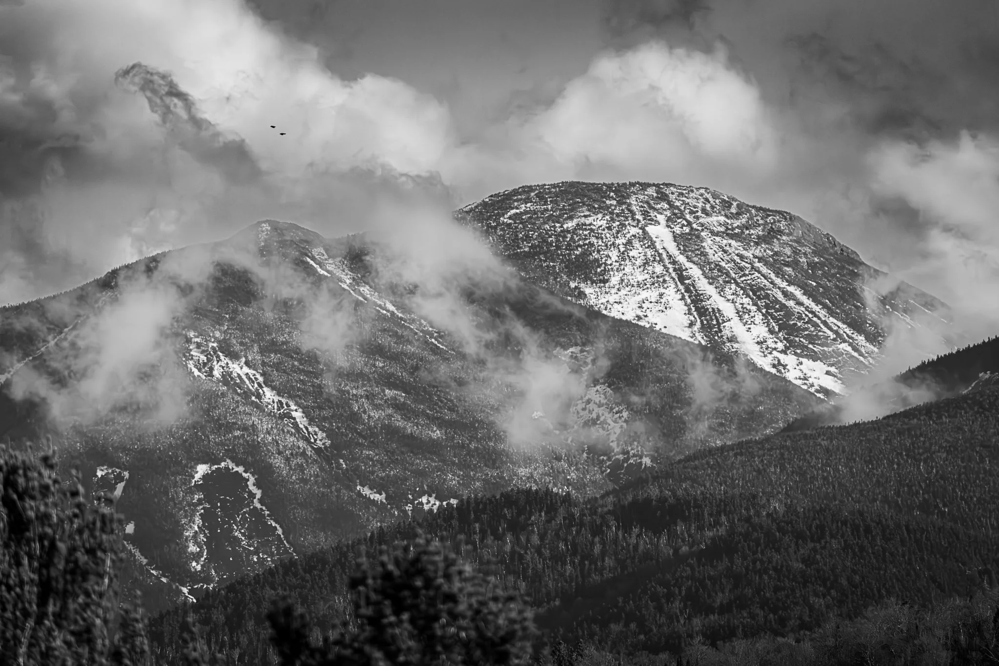 147A0056-Enhanced-NR.jpg