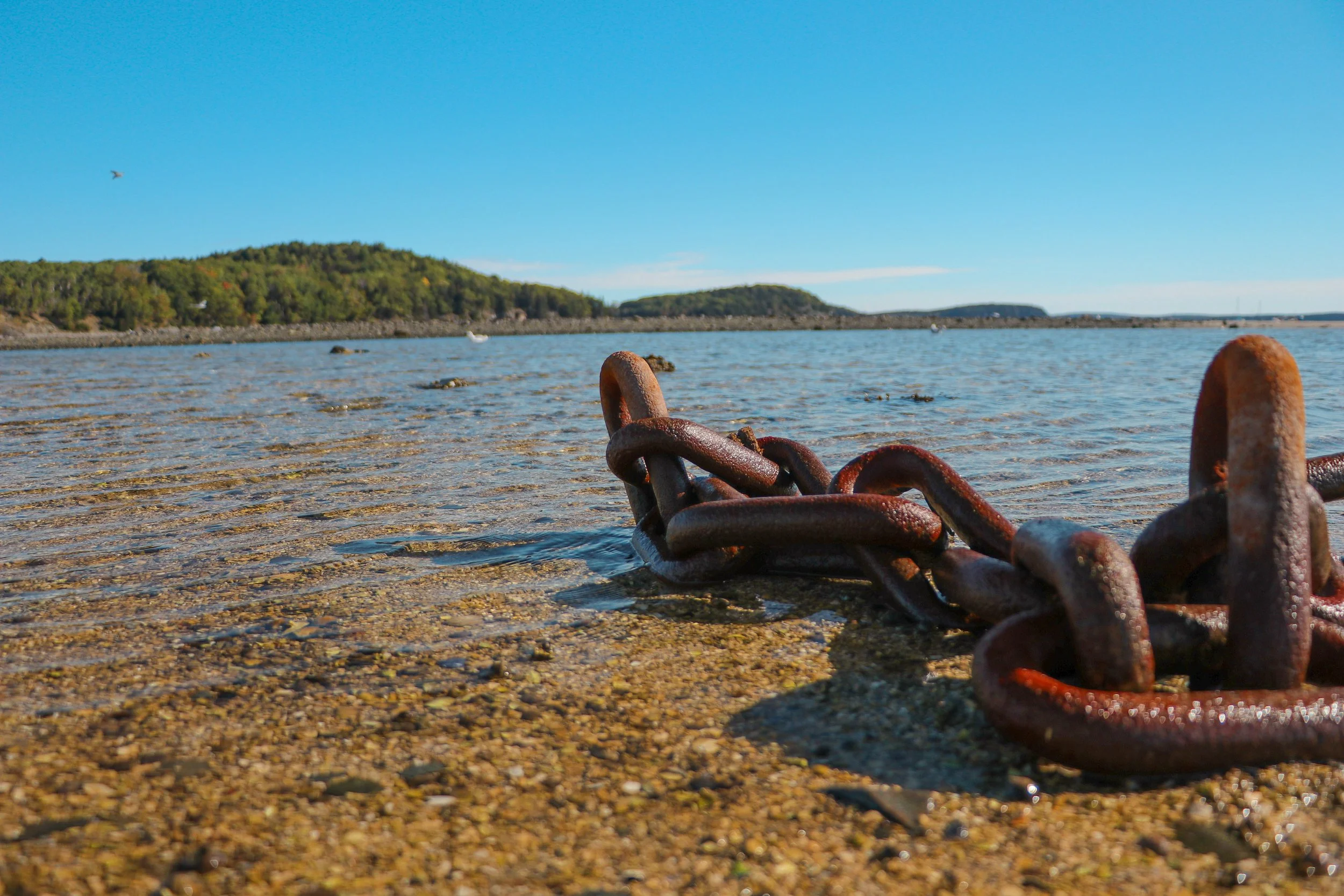 Photo Sep 28, 10 12 29 PM.JPG