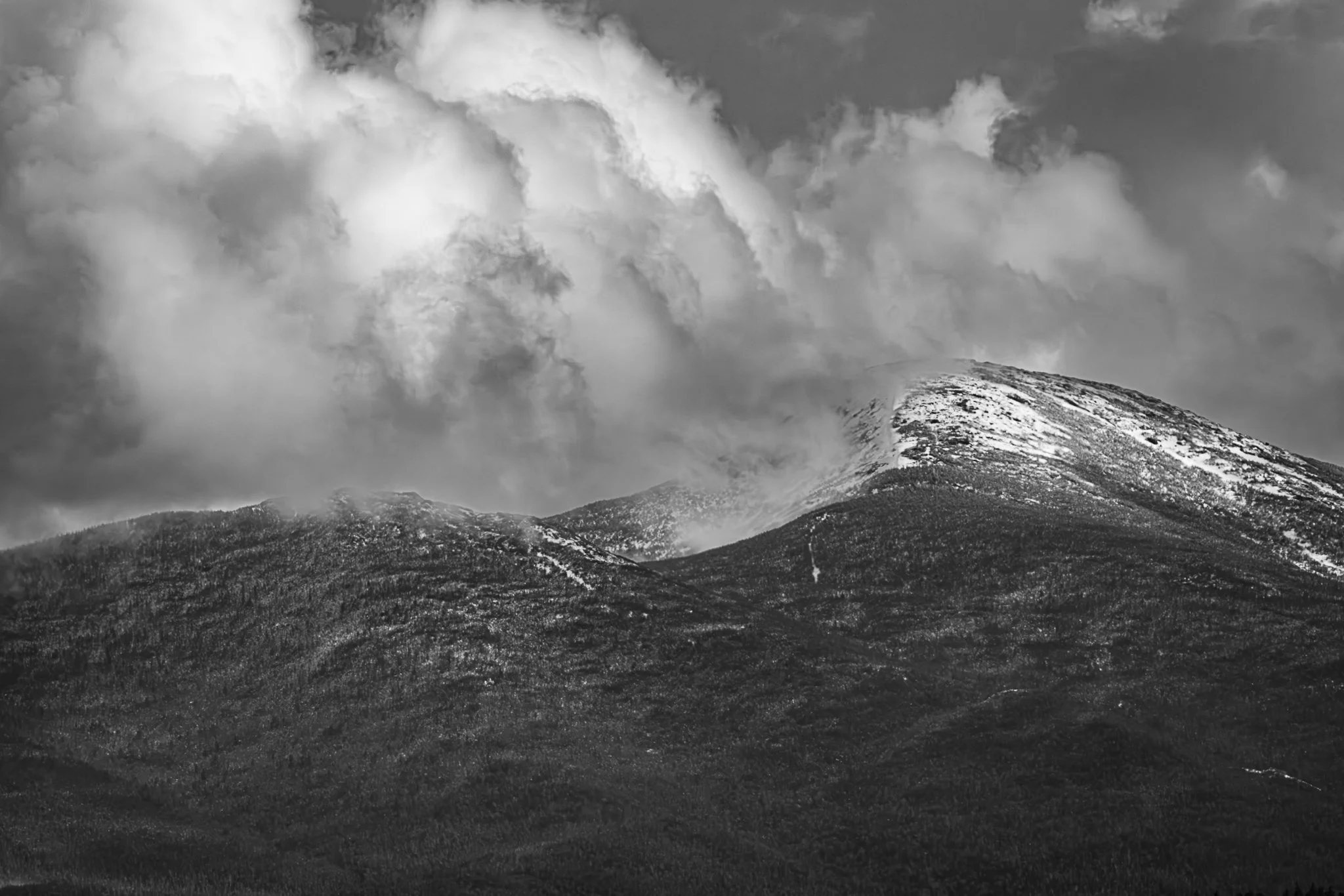 147A0049-Enhanced-NR.jpg