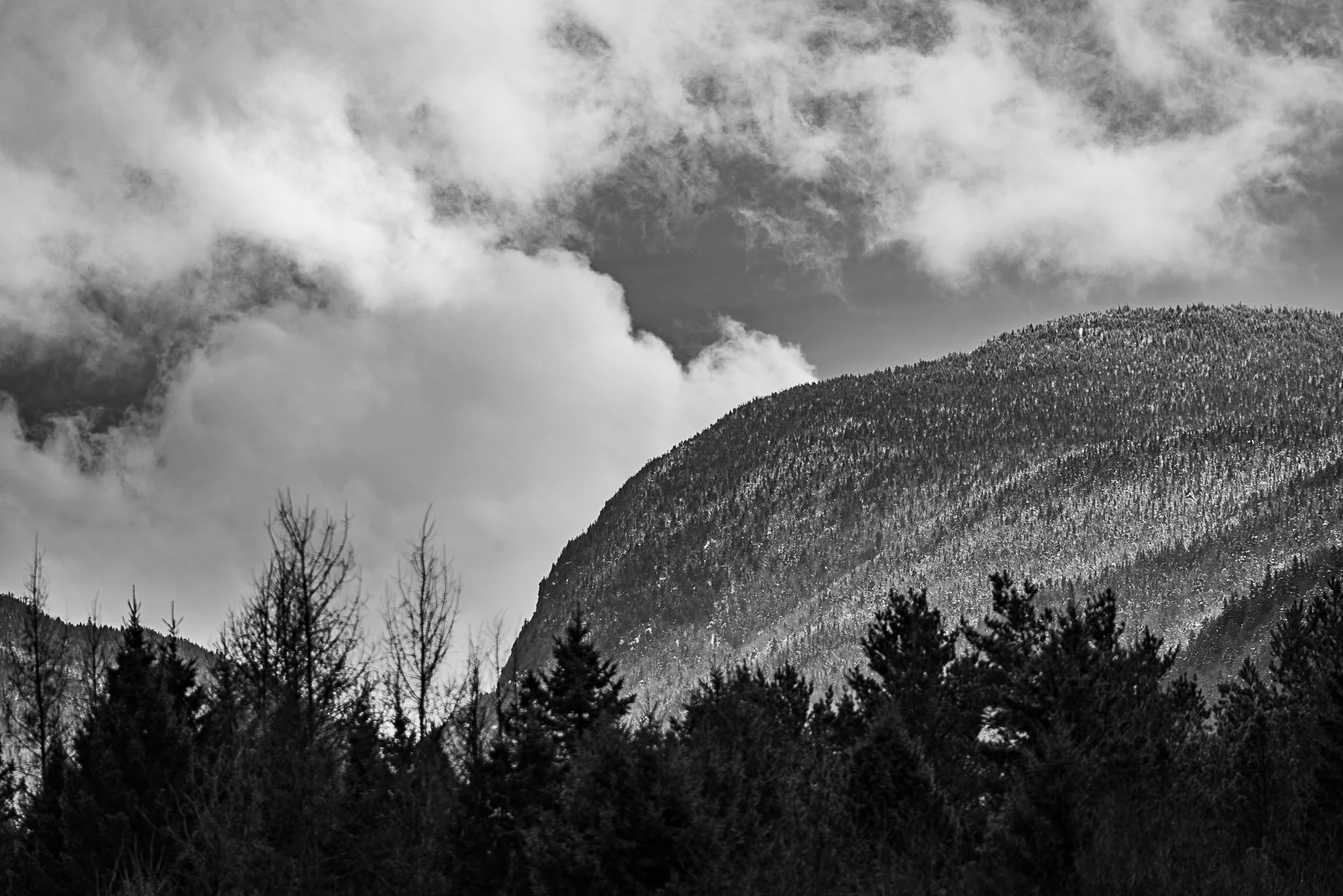 147A0030-Enhanced-NR.jpg