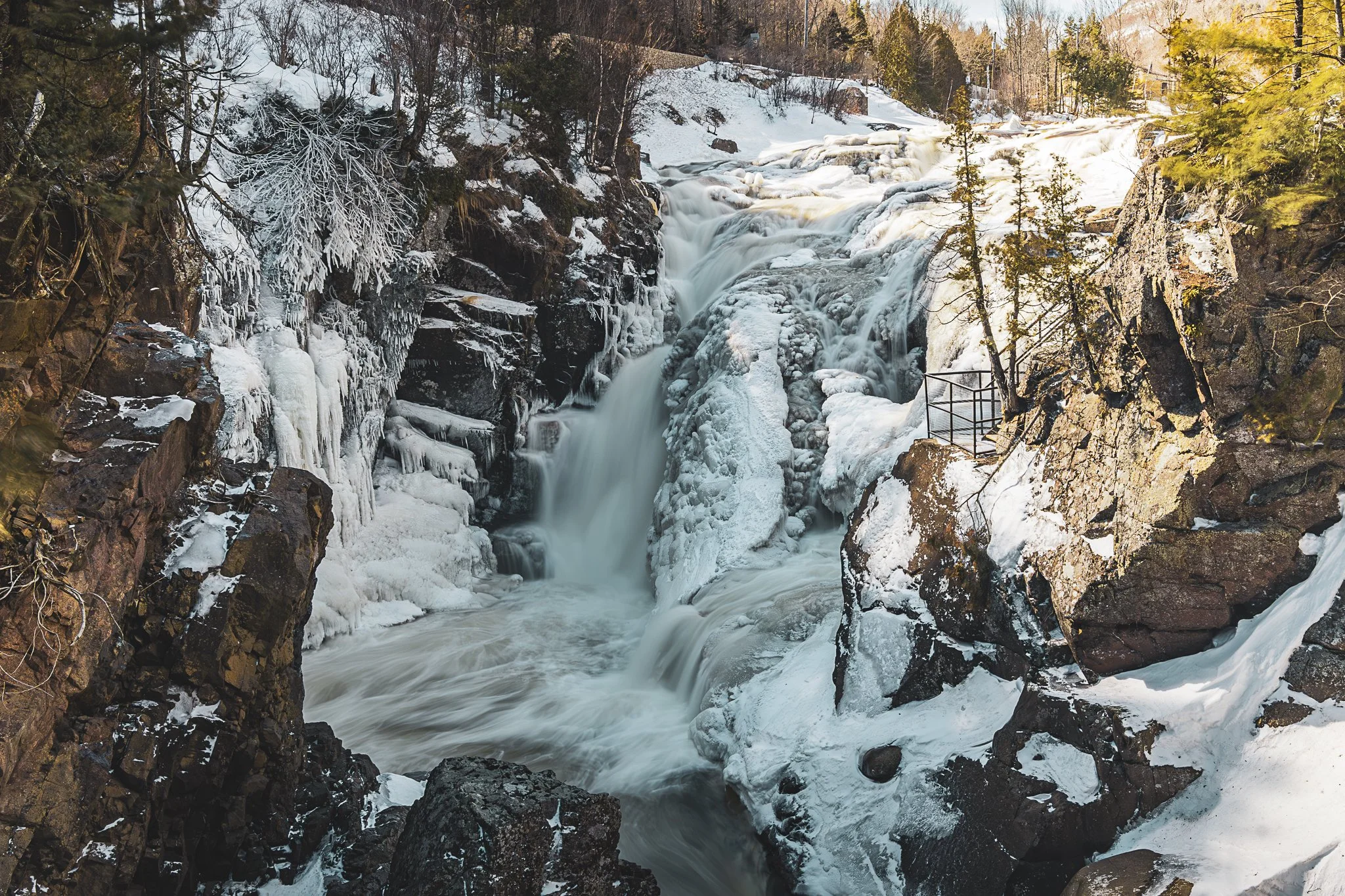 147A8559-Enhanced-NR.jpg