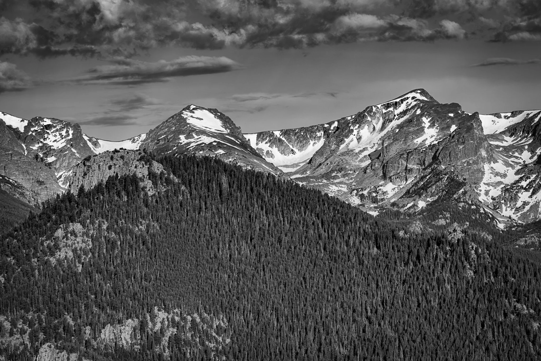 IMG_0631-Enhanced-NR.jpg