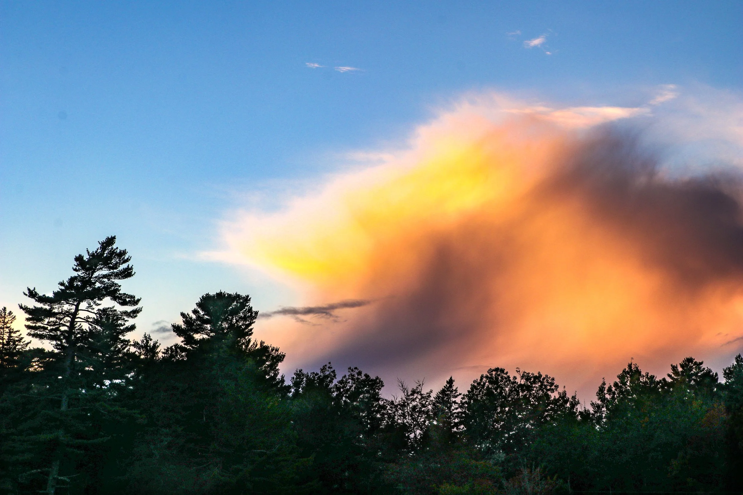 Photo Sep 30, 6 15 11 AM.JPG