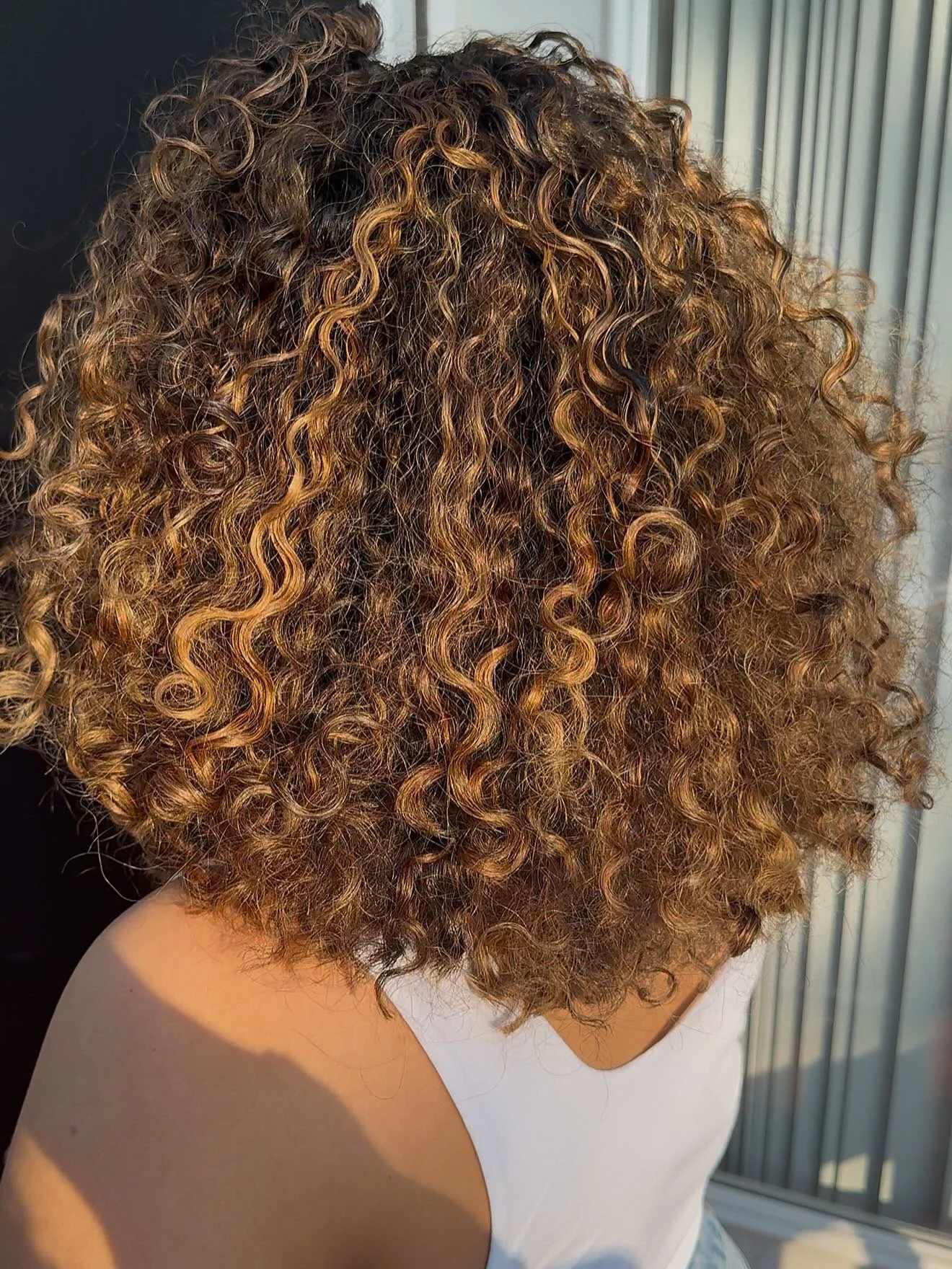 nothing like a lived-in color refresh and shape-enhancing cut to bring those curls back to life! dimension + definition = chef&rsquo;s kiss 💇🏽&zwj;♀️💫 
#masshairstylist #bostonhairstylist #BalayageTouchUp #CurlyCut #CurlyHairSpecialist #Dimensiona