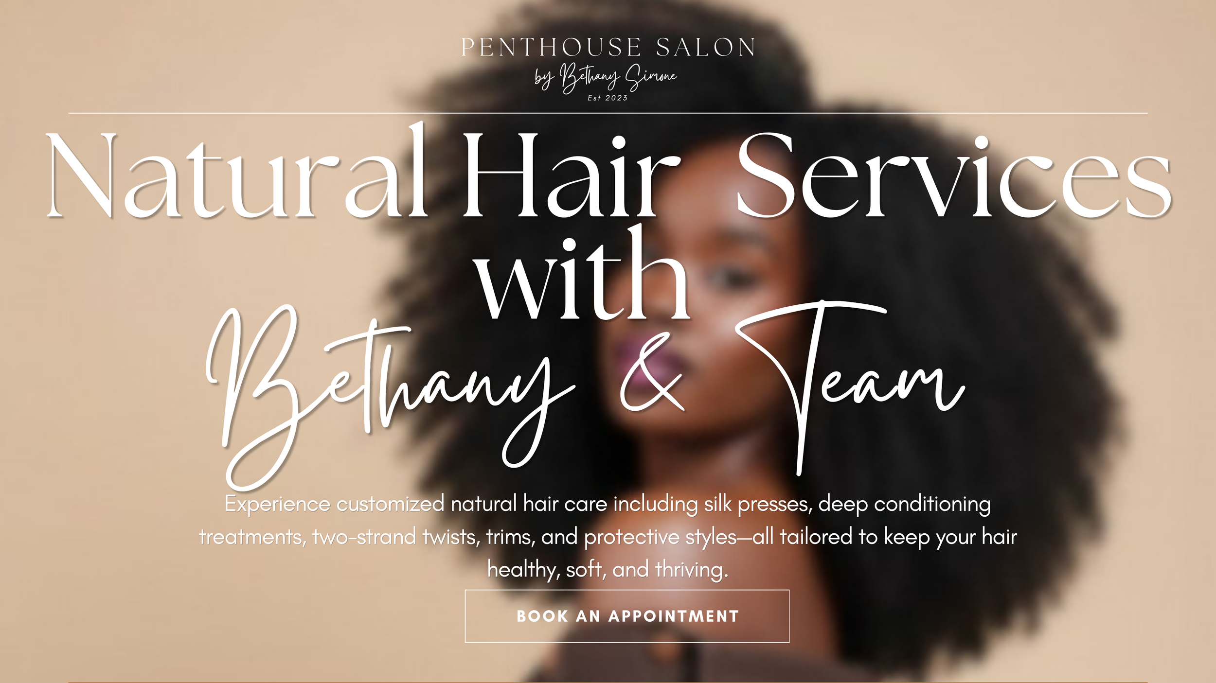 Natural hair services at The Penthouse Salon in Braintree, MA. Silk presses, deep conditioning treatments, trims, two-strand twists, protective styles, and healthy hair care with Bethany and the team.