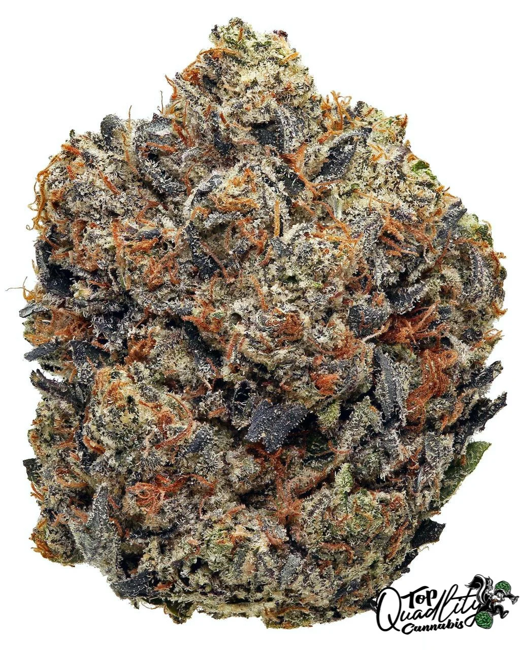 Gucci Pink Kush (THC:32% Indica)