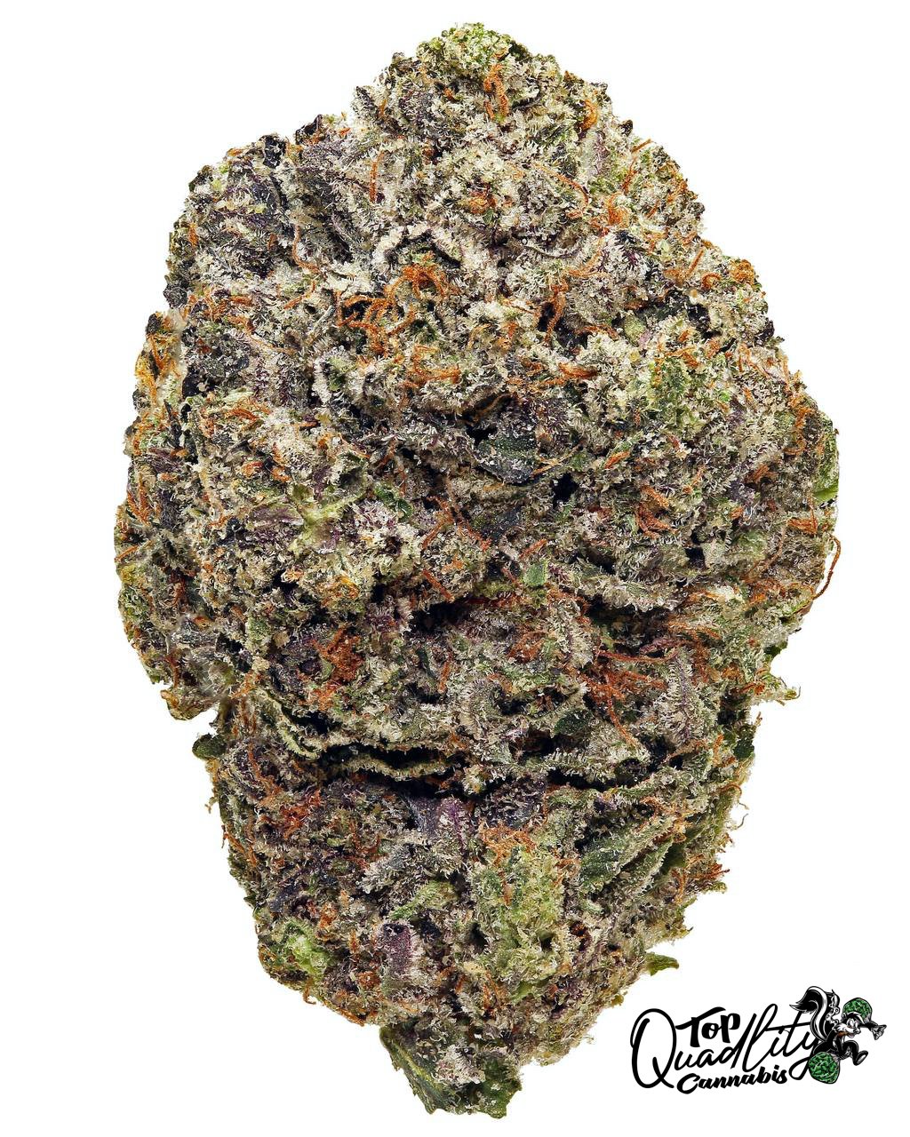 Oreoz (Hybrid 31% Hybrid)