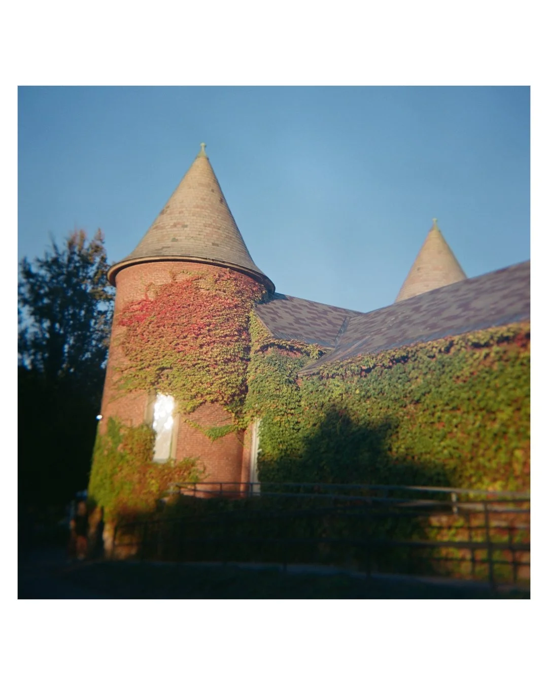 A dreamy fall wedding @decordovaevents.